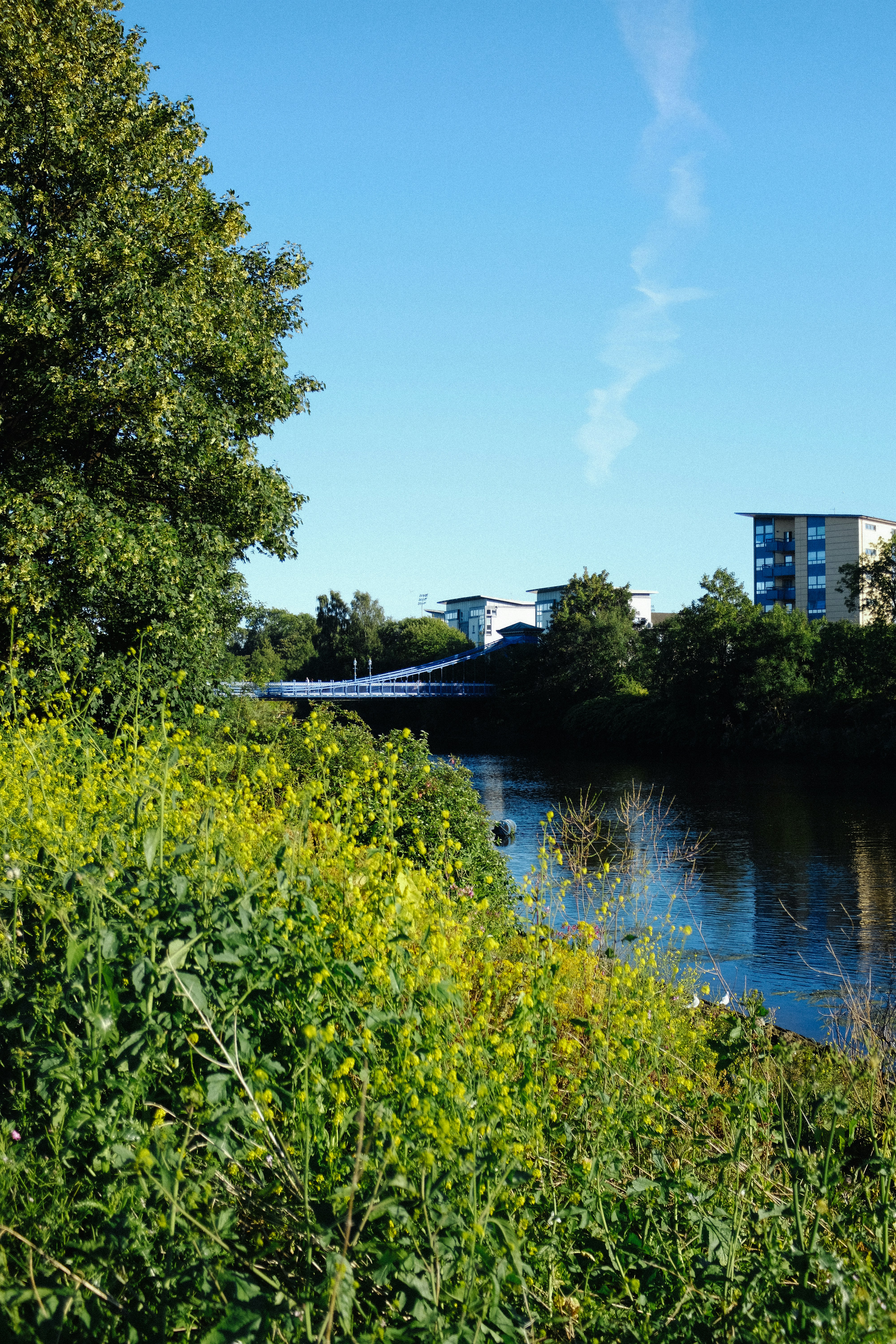 Photo by adrienolichon