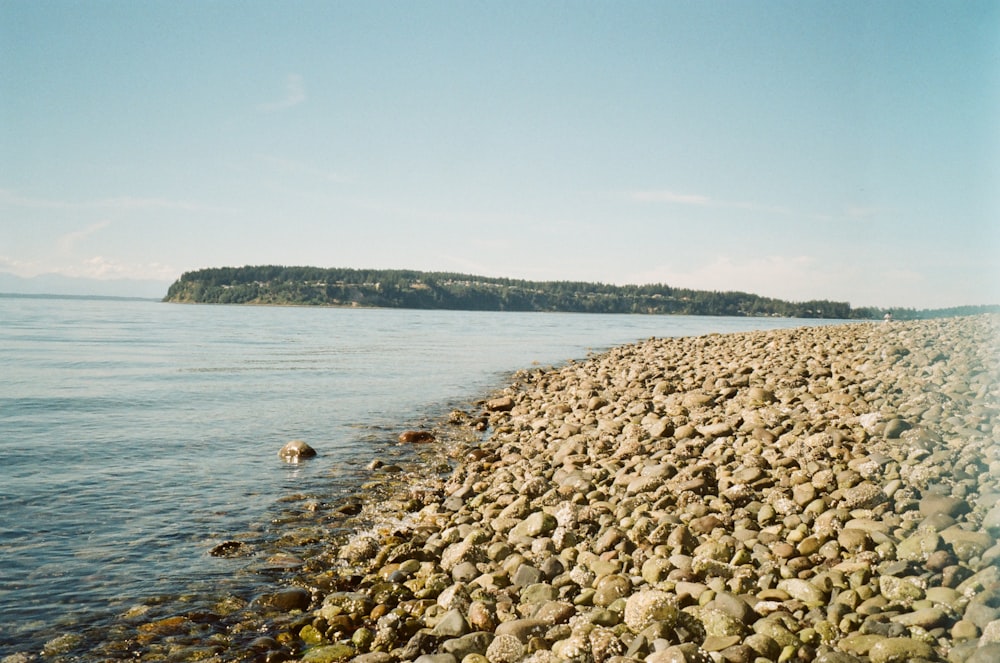 a rocky beach with a large island in the background