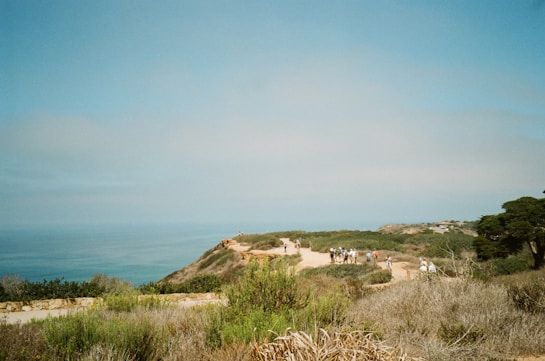 A scenic landscape with a path winding through coastal vegetation, overlooking the ocean on a clear day. A group of people is walking along the trail, enjoying the natural surroundings. The terrain is slightly elevated, providing a view of the expansive sea and sky.