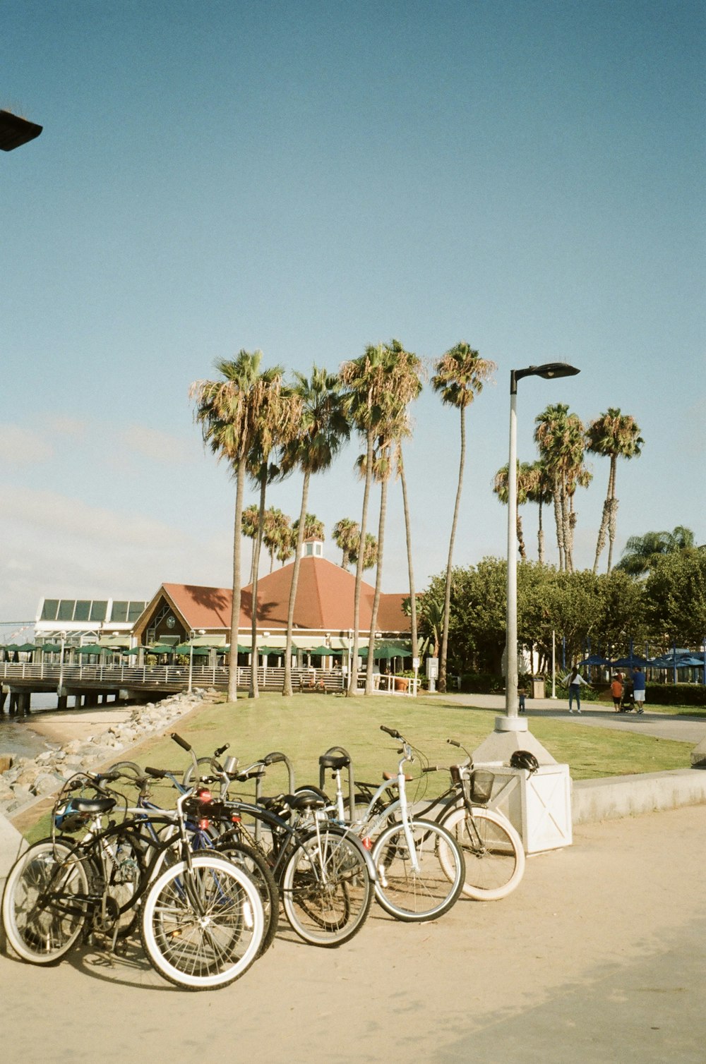 a group of bicycles parked on a sidewalk next to a beach