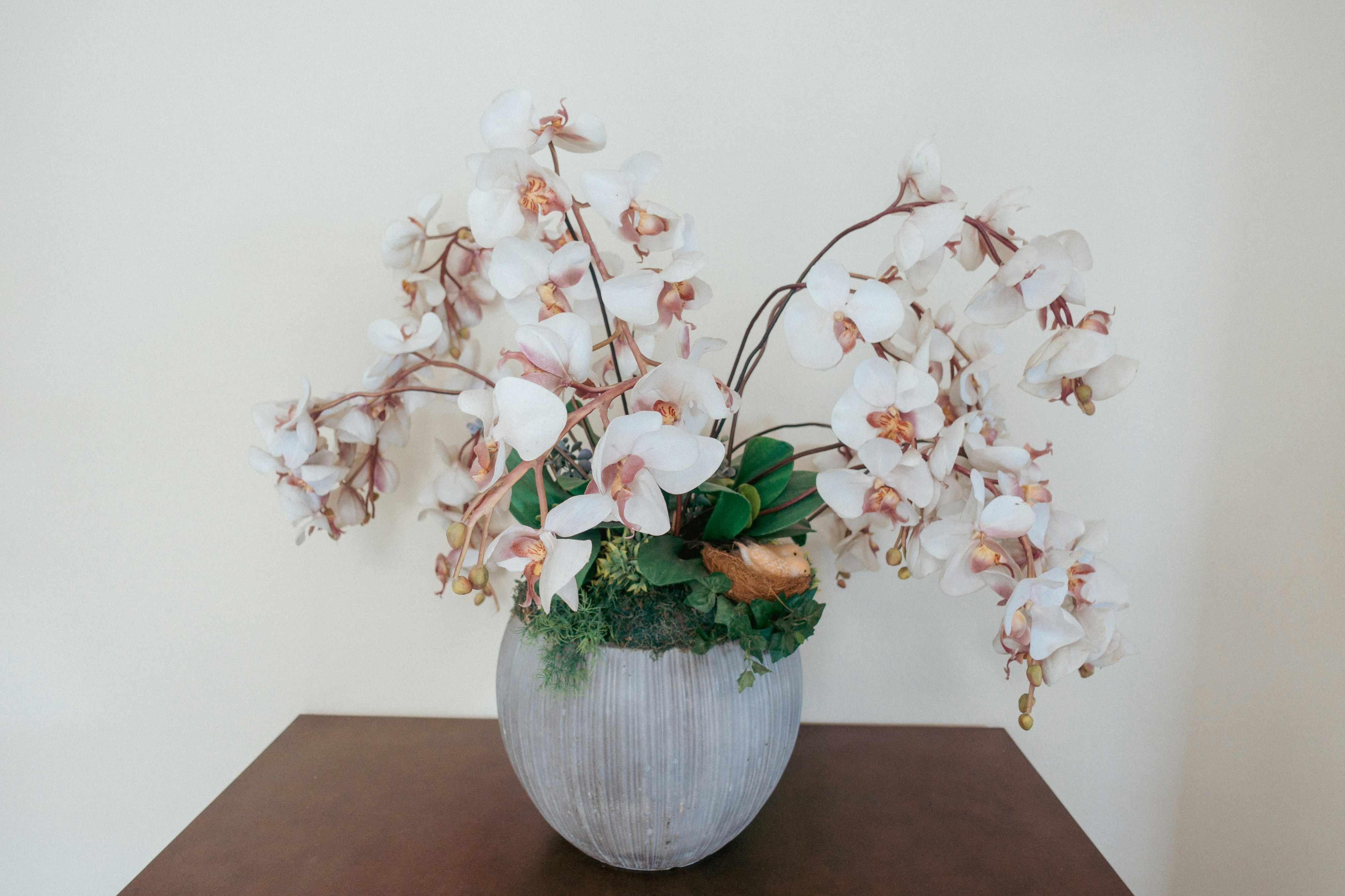 Photo by markuswinkler