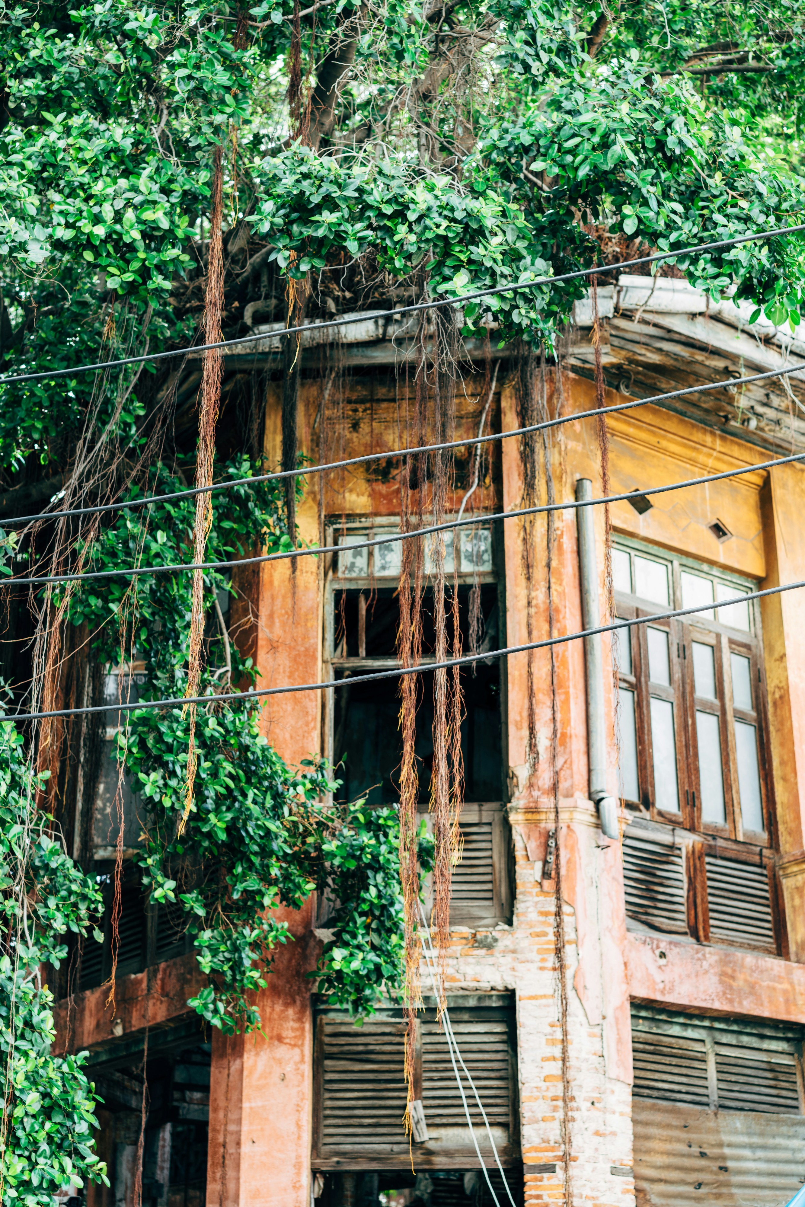 Photo by markuswinkler