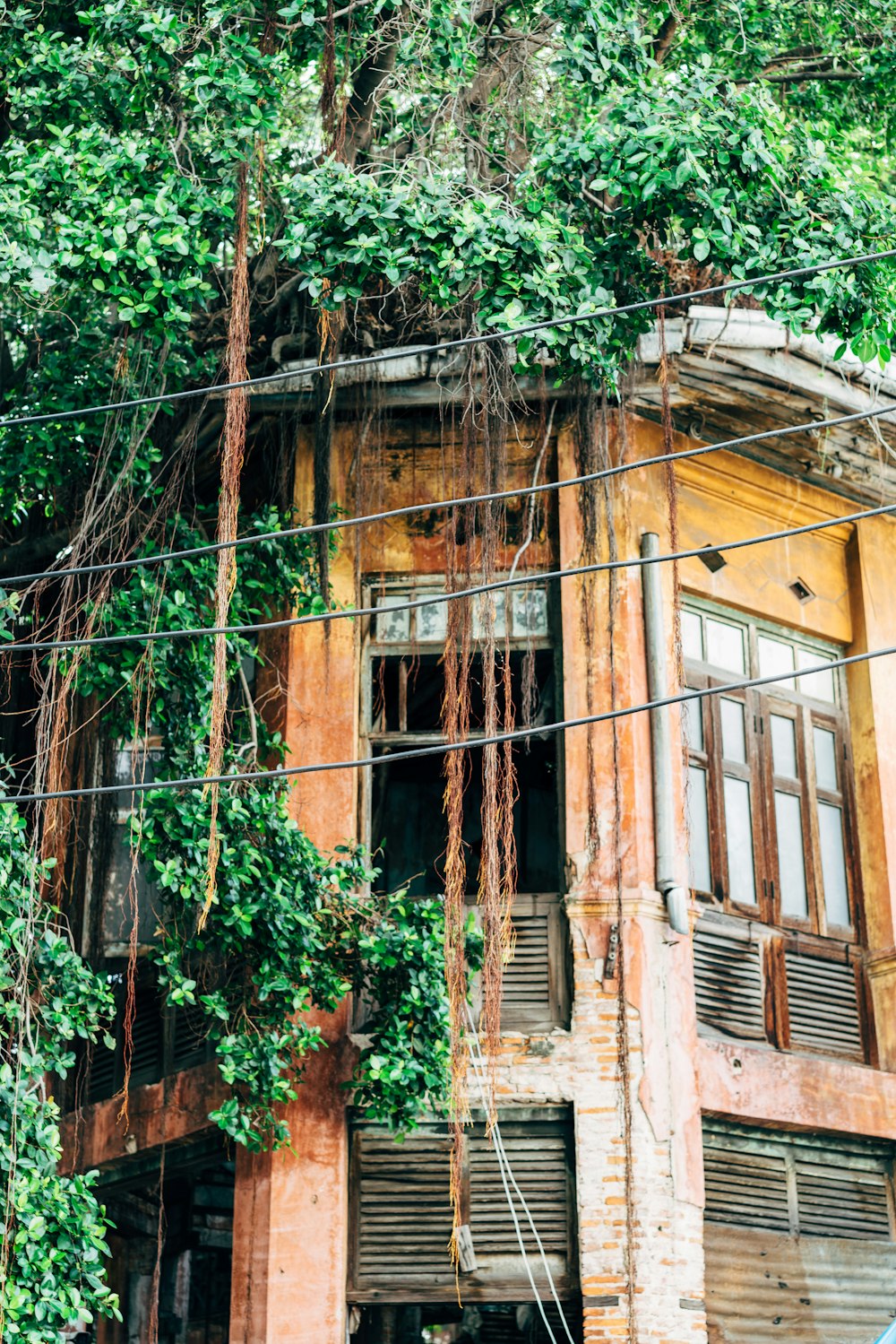 a house that has trees around it