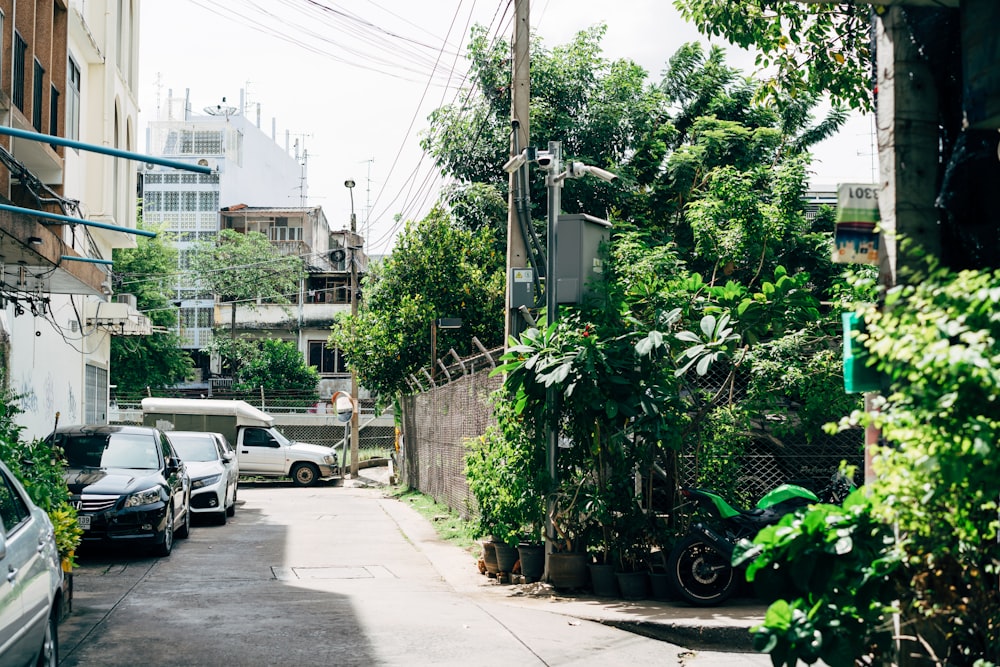 a street with cars and trees