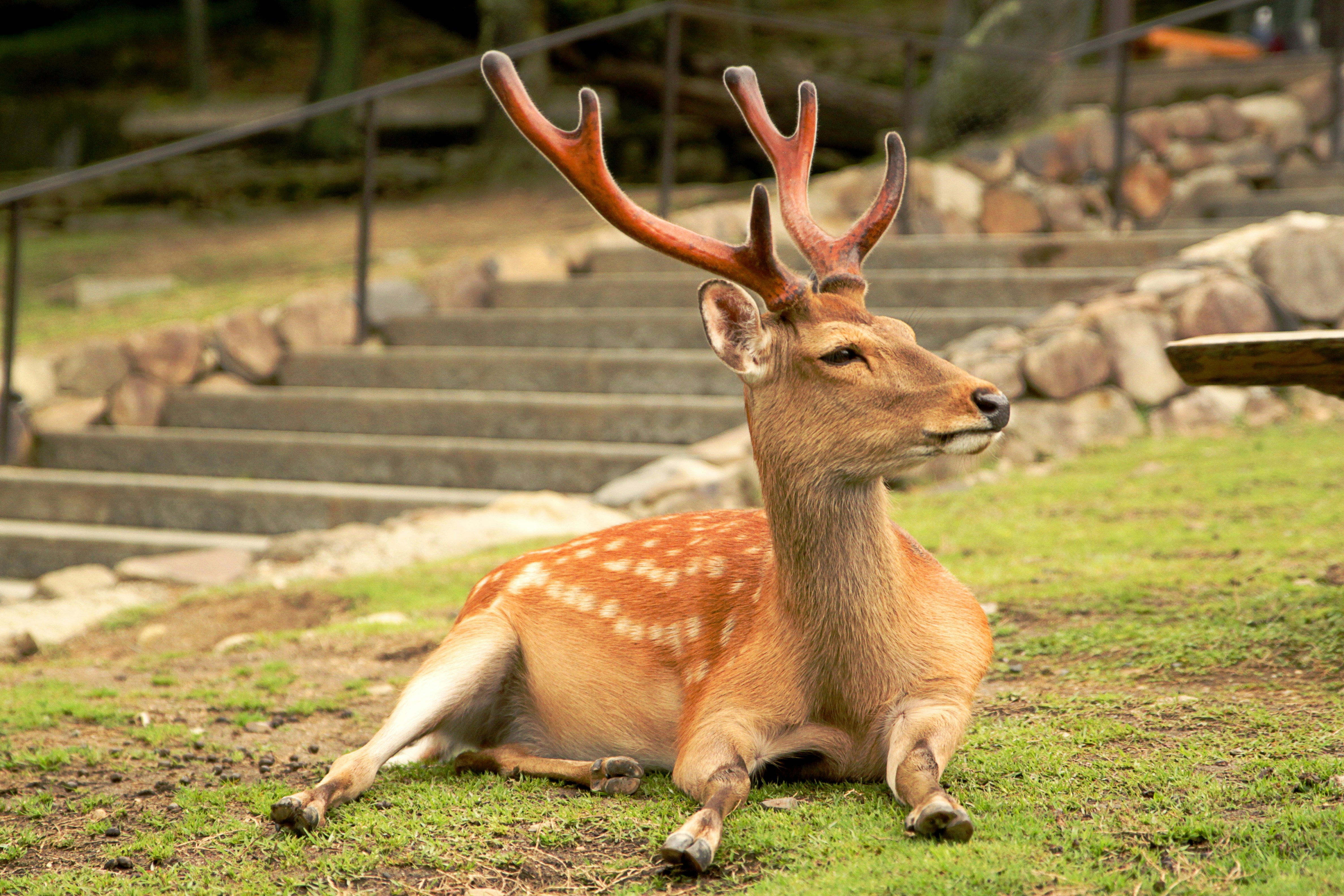 Photo by packetdiscards