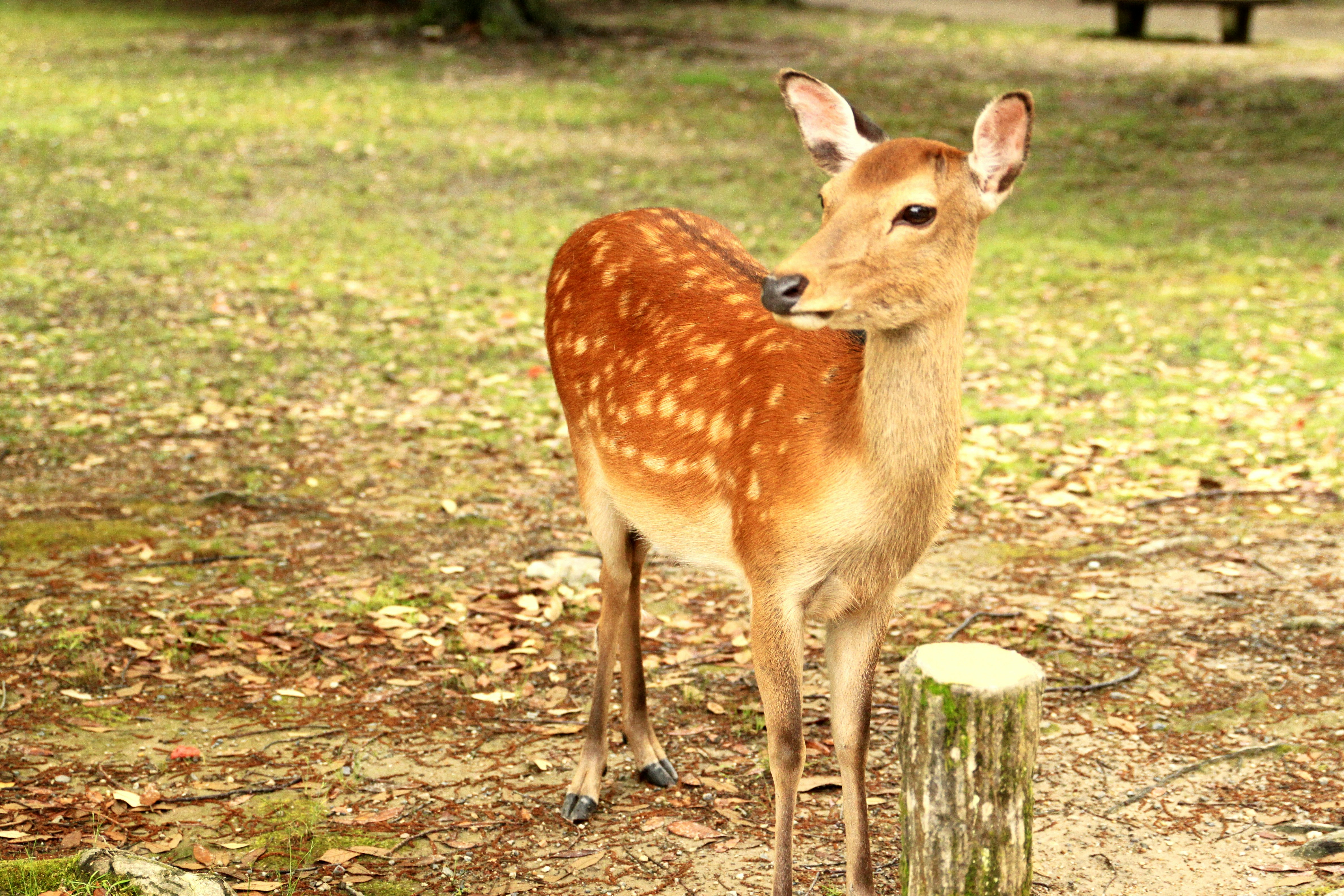 Photo by packetdiscards