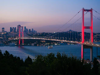 a bridge over a river with a city in the background