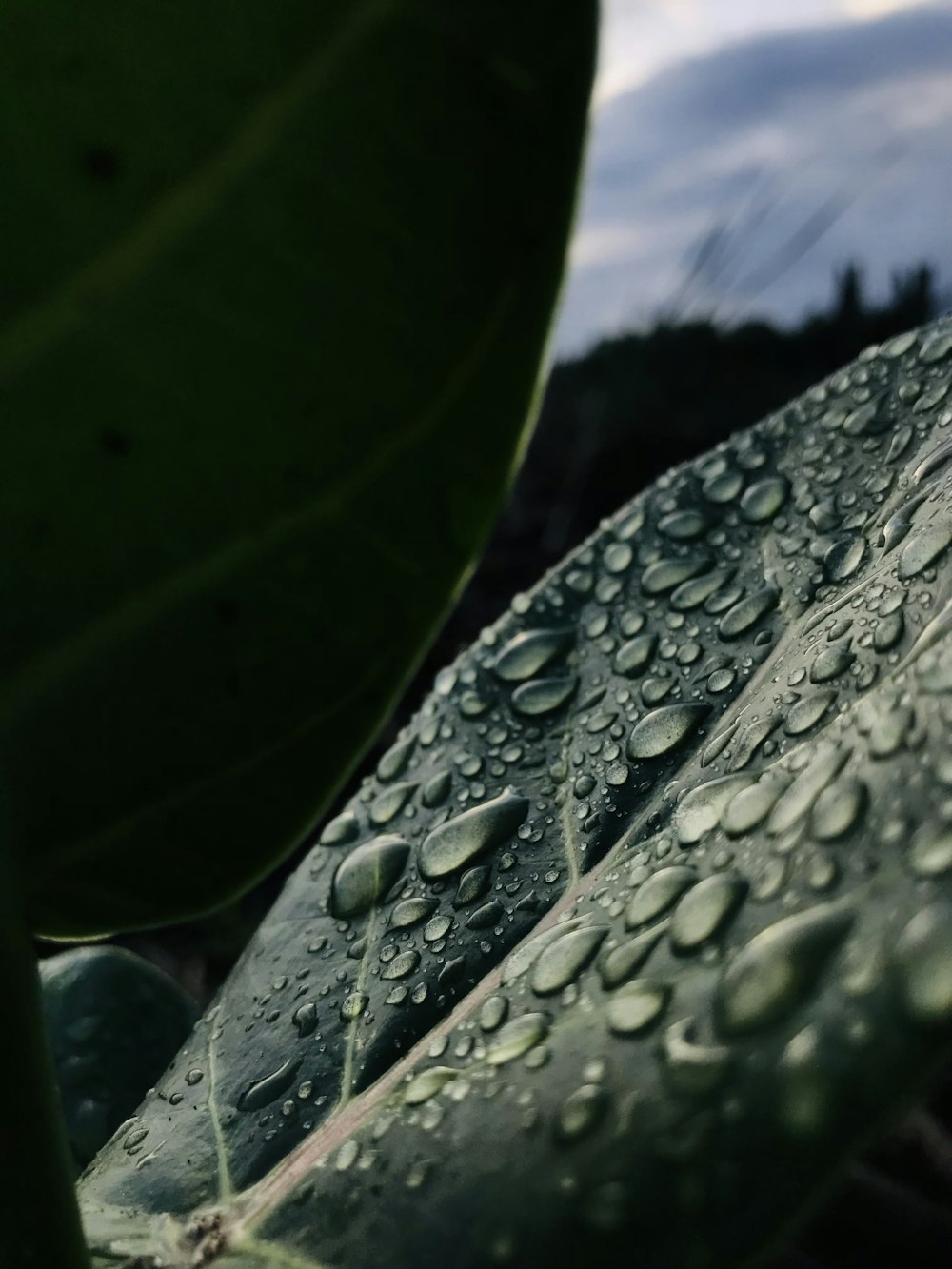 a close up of a tire