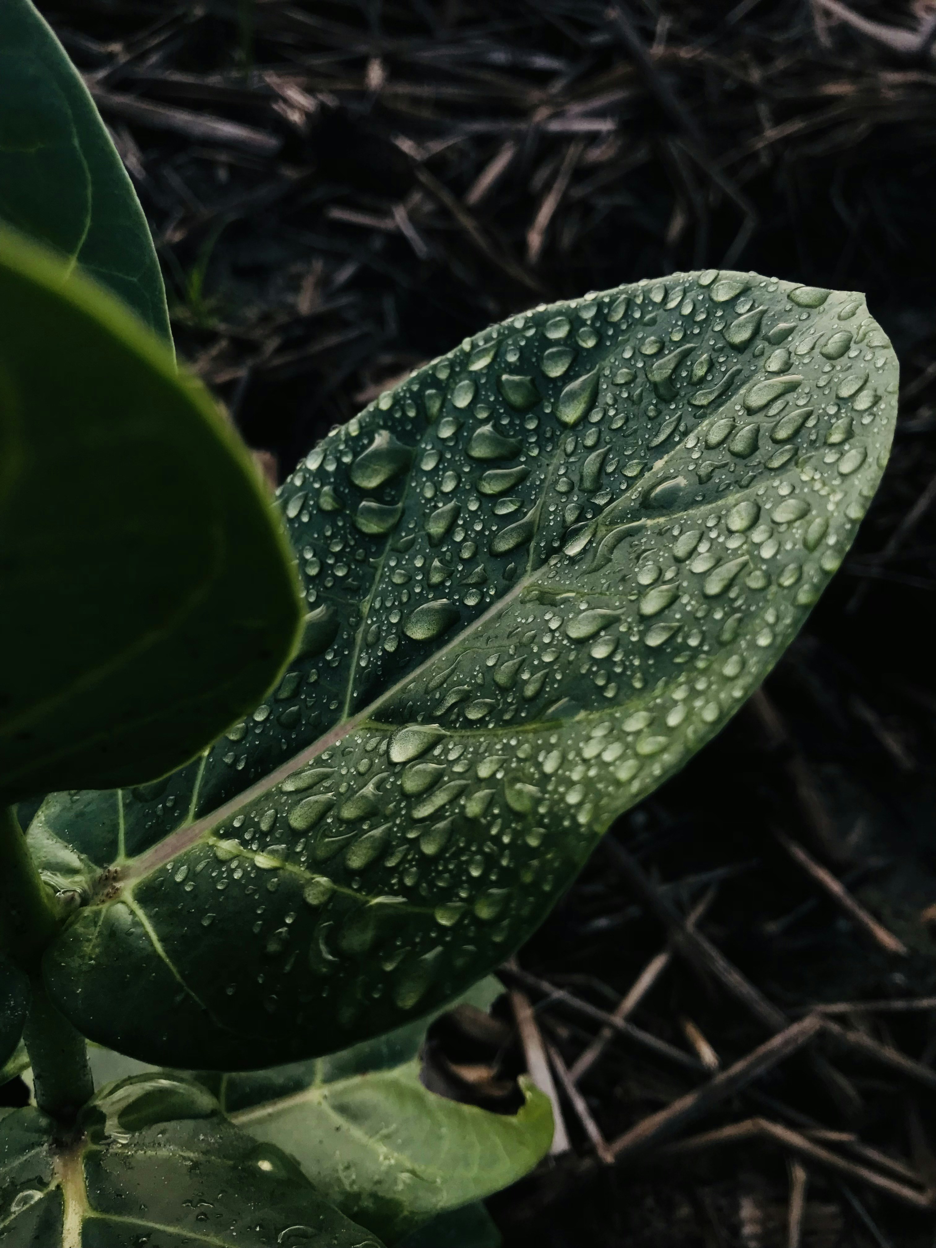 Photo by mahendraaanjanapatel