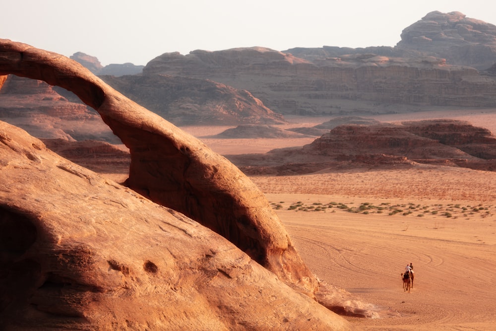 a person riding a camel in a desert