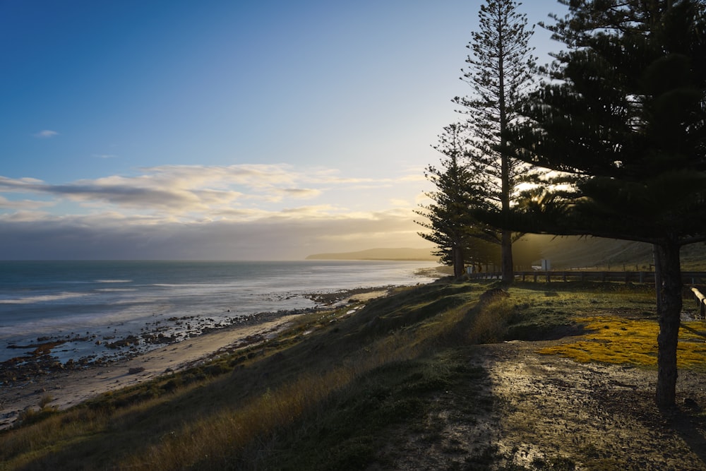 a path next to a beach