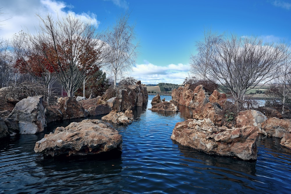 a body of water with rocks and trees around it