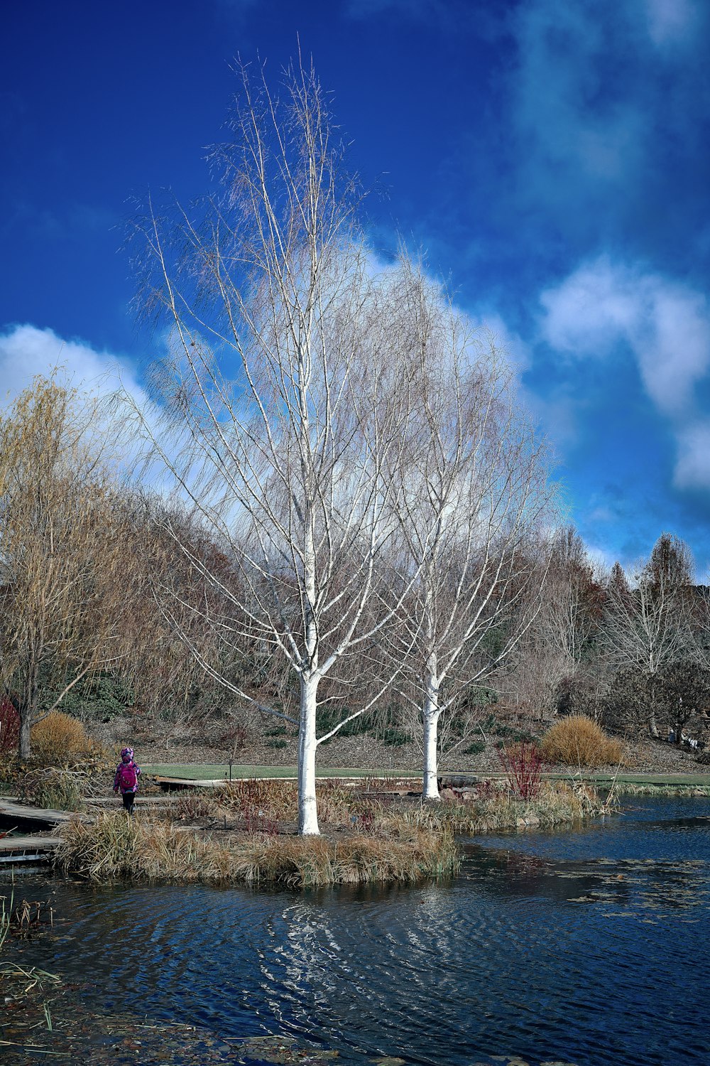 a person standing next to a tree