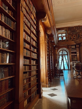 a library with books on shelves