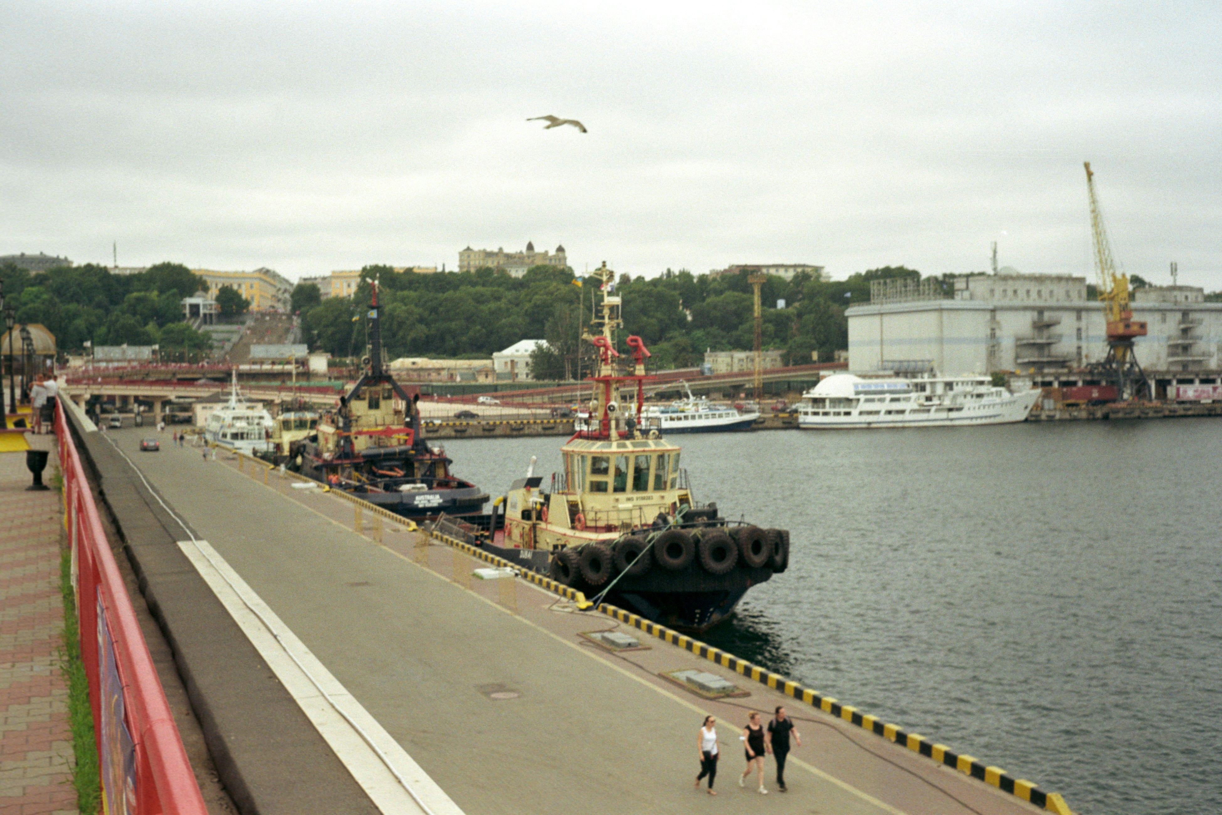 a group of people walking on a bridge over a body of water