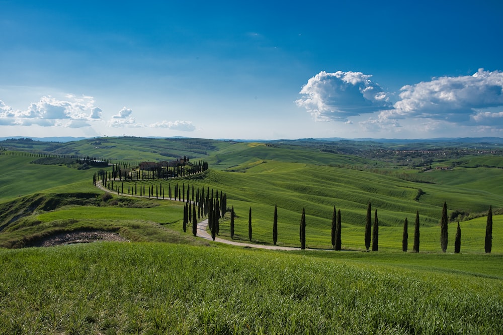 un campo recintato