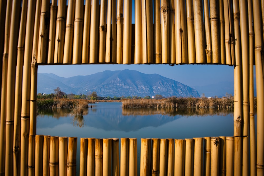 a bridge over a body of water