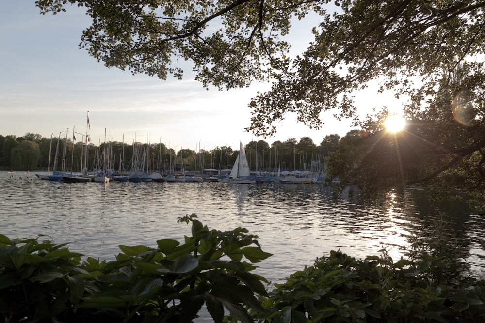 a body of water with boats on it and trees around it