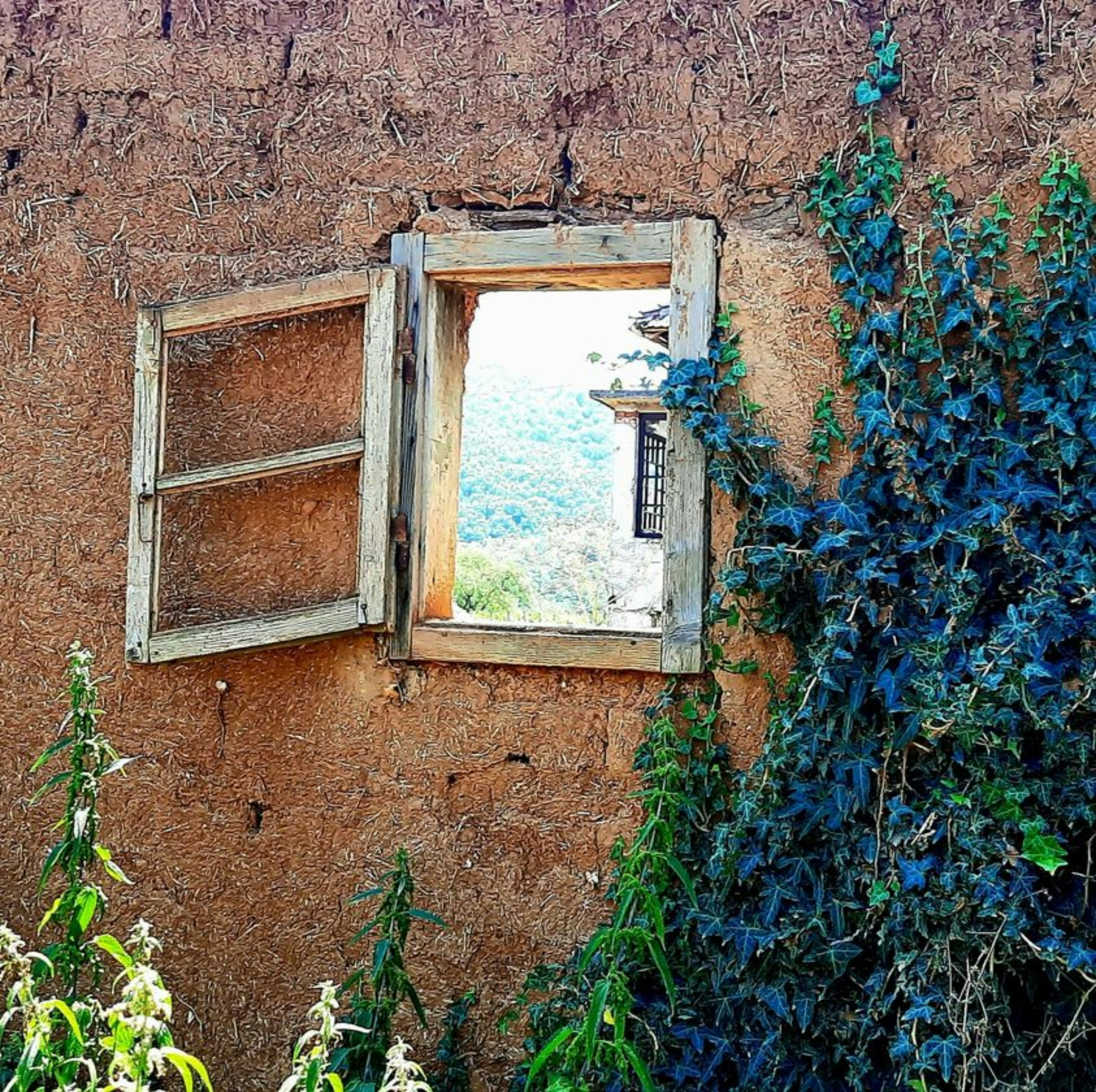 Photo by zaplanje