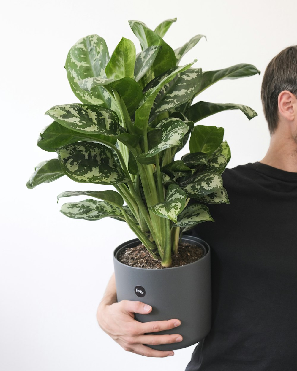 a man holding a potted plant