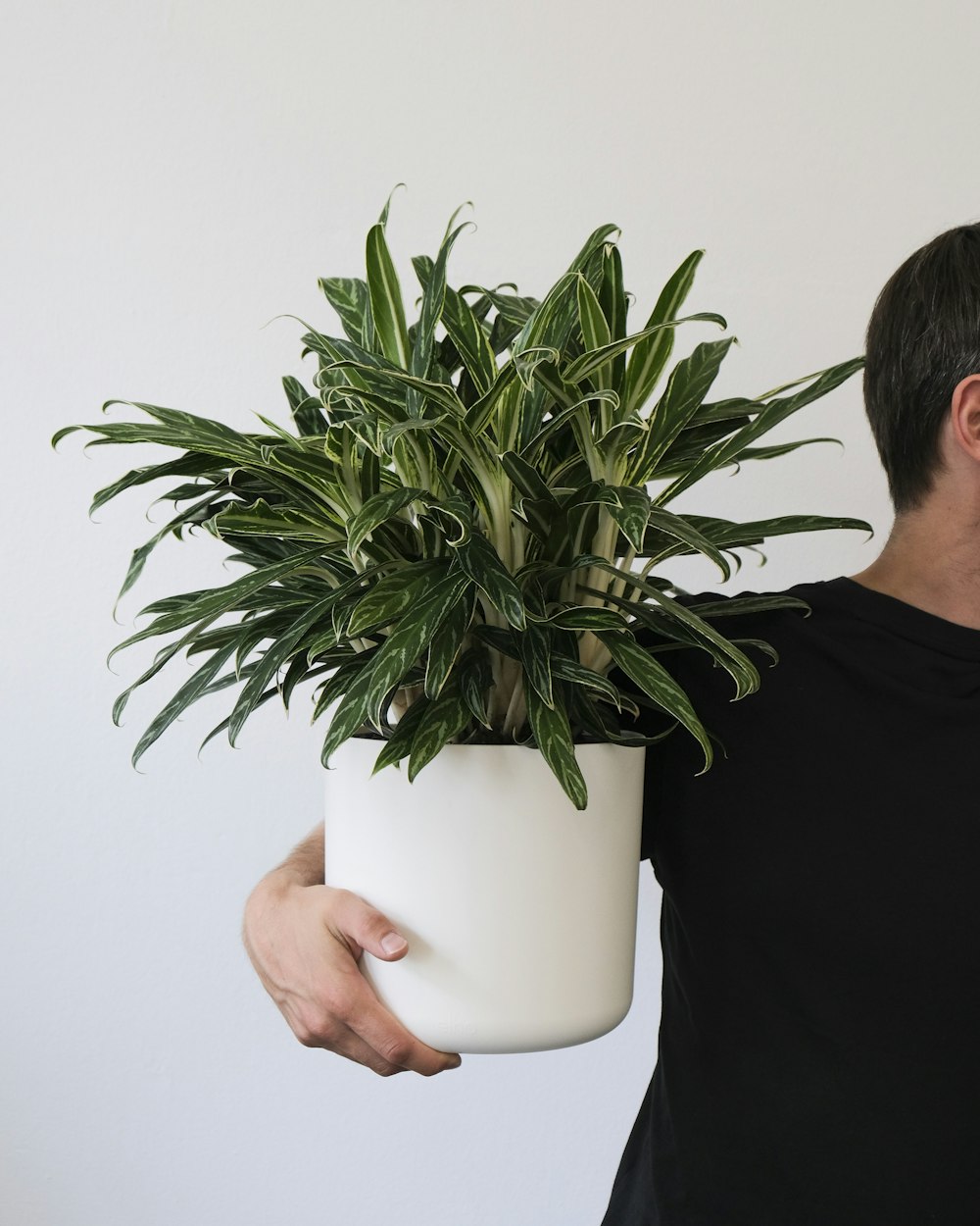a man holding a potted plant