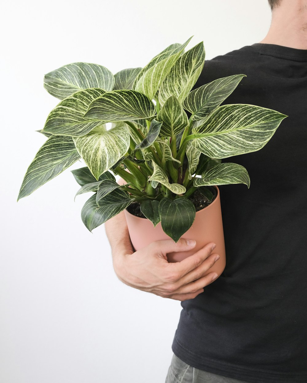 a person holding a plant