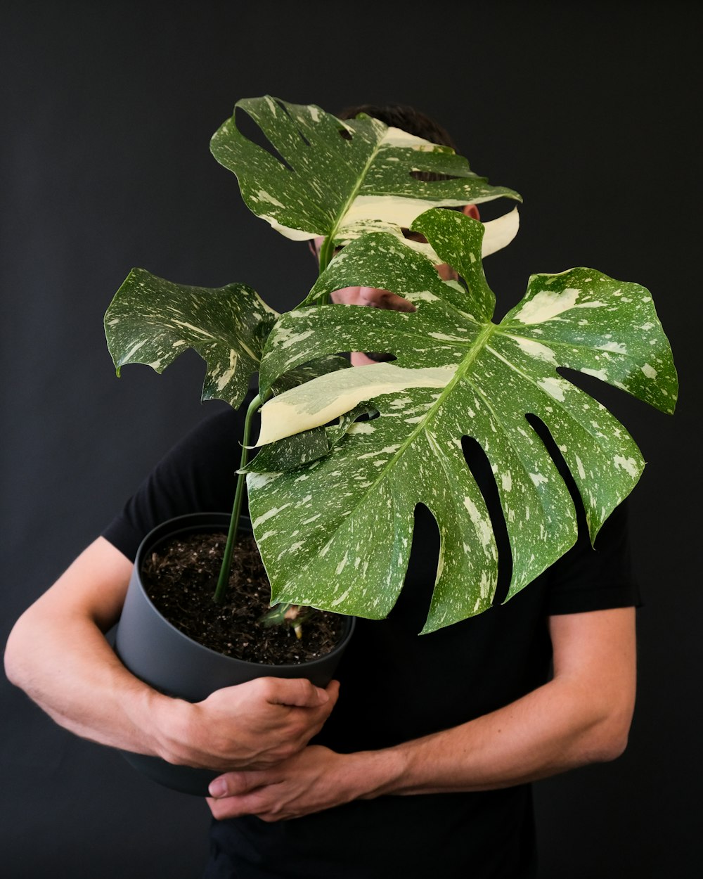 a person holding a plant