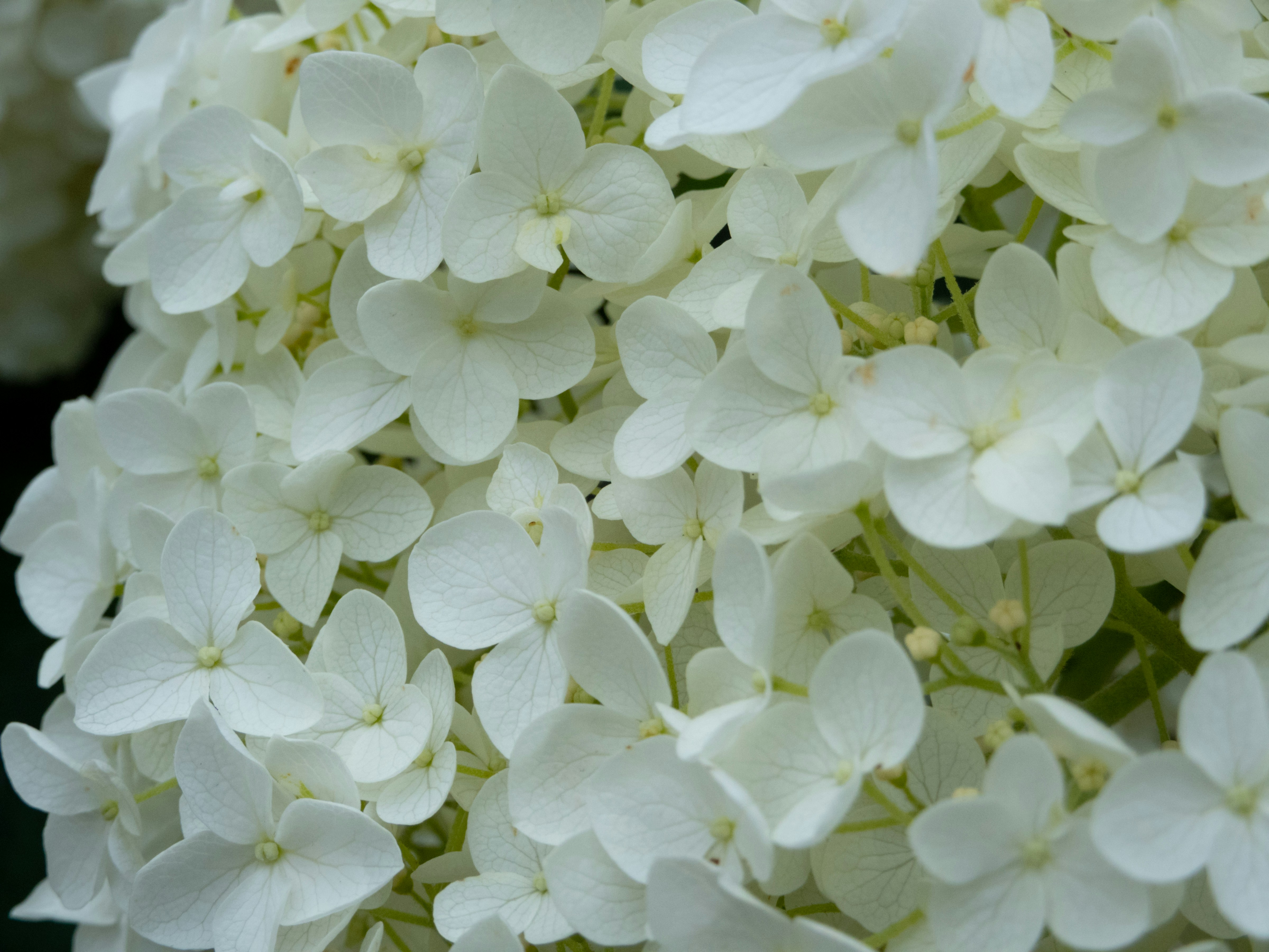 Photo by heppoko_yama