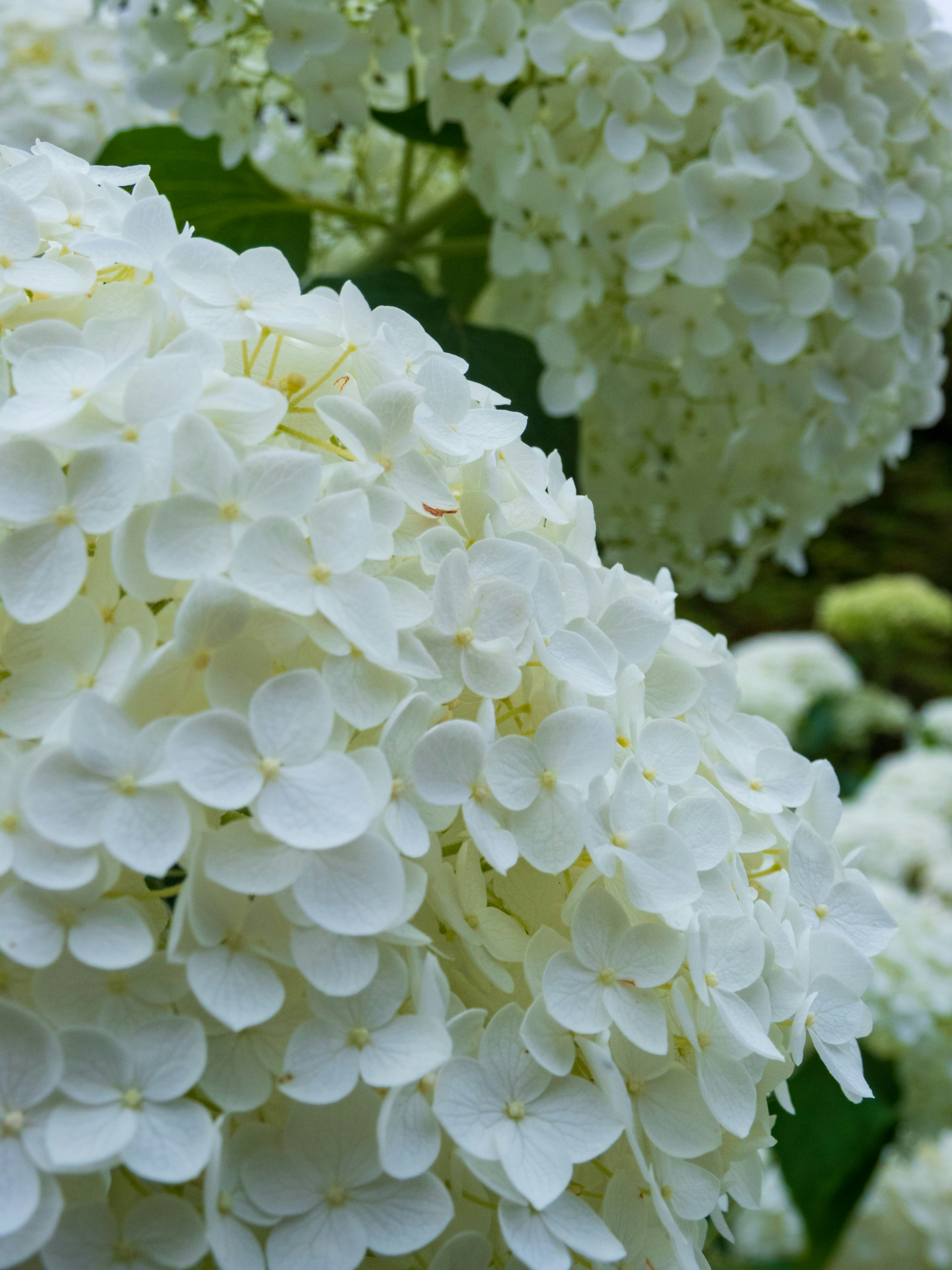 Photo by heppoko_yama