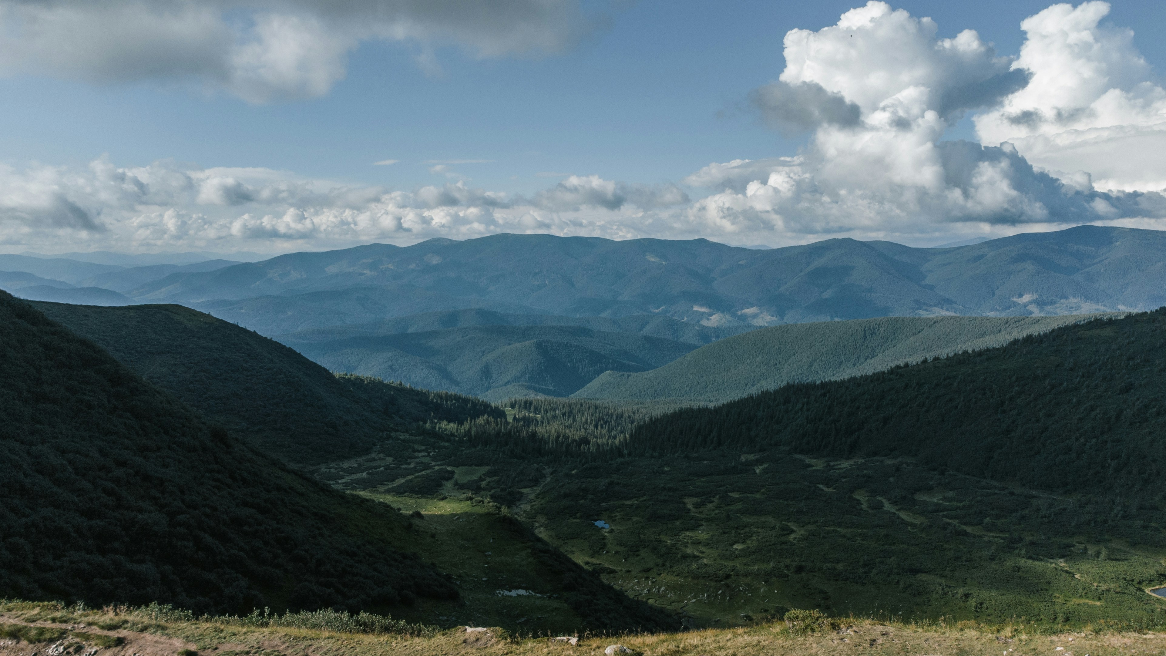 Photo by deni_eliash