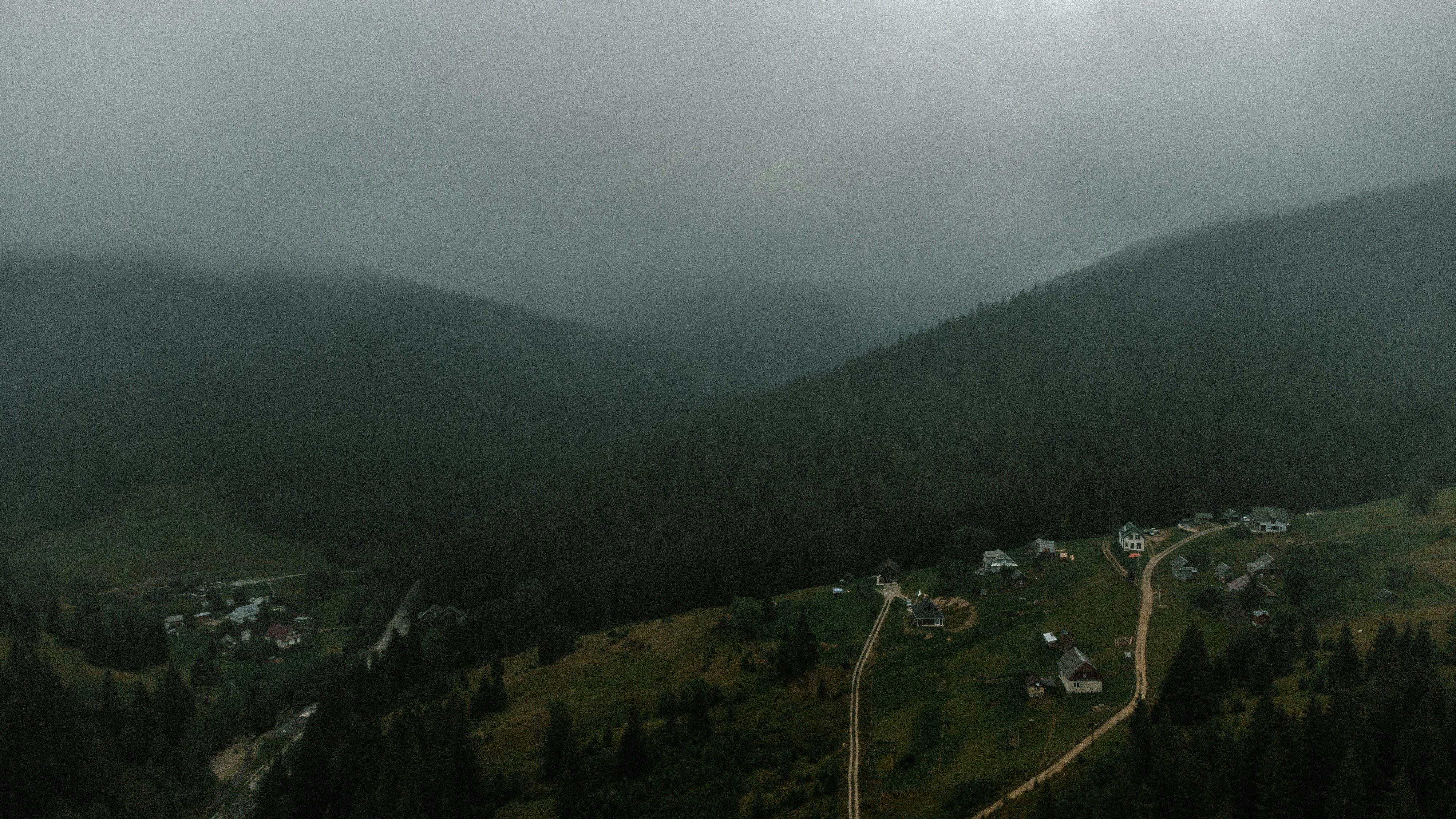 Photo by deni_eliash