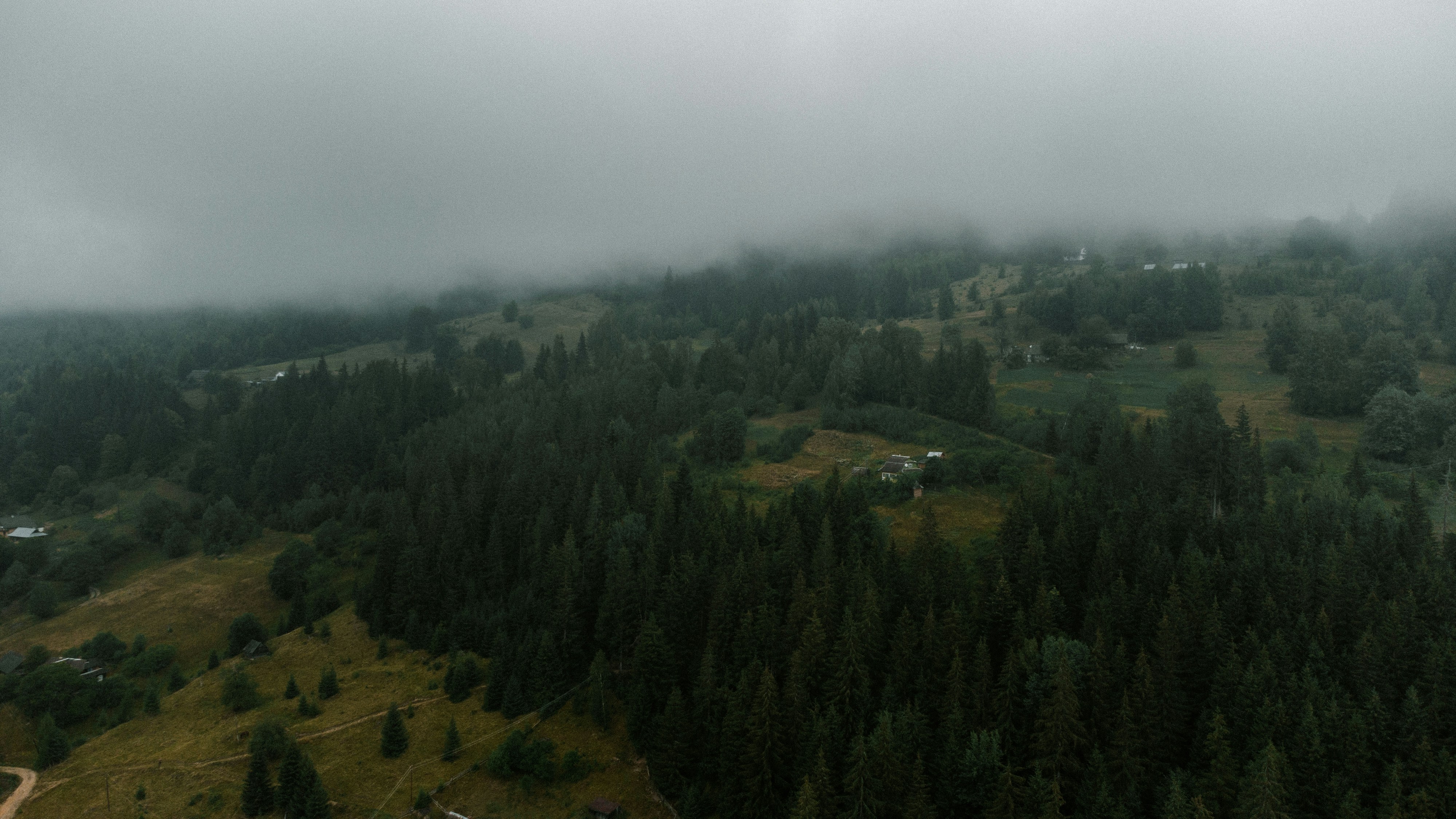 Photo by deni_eliash