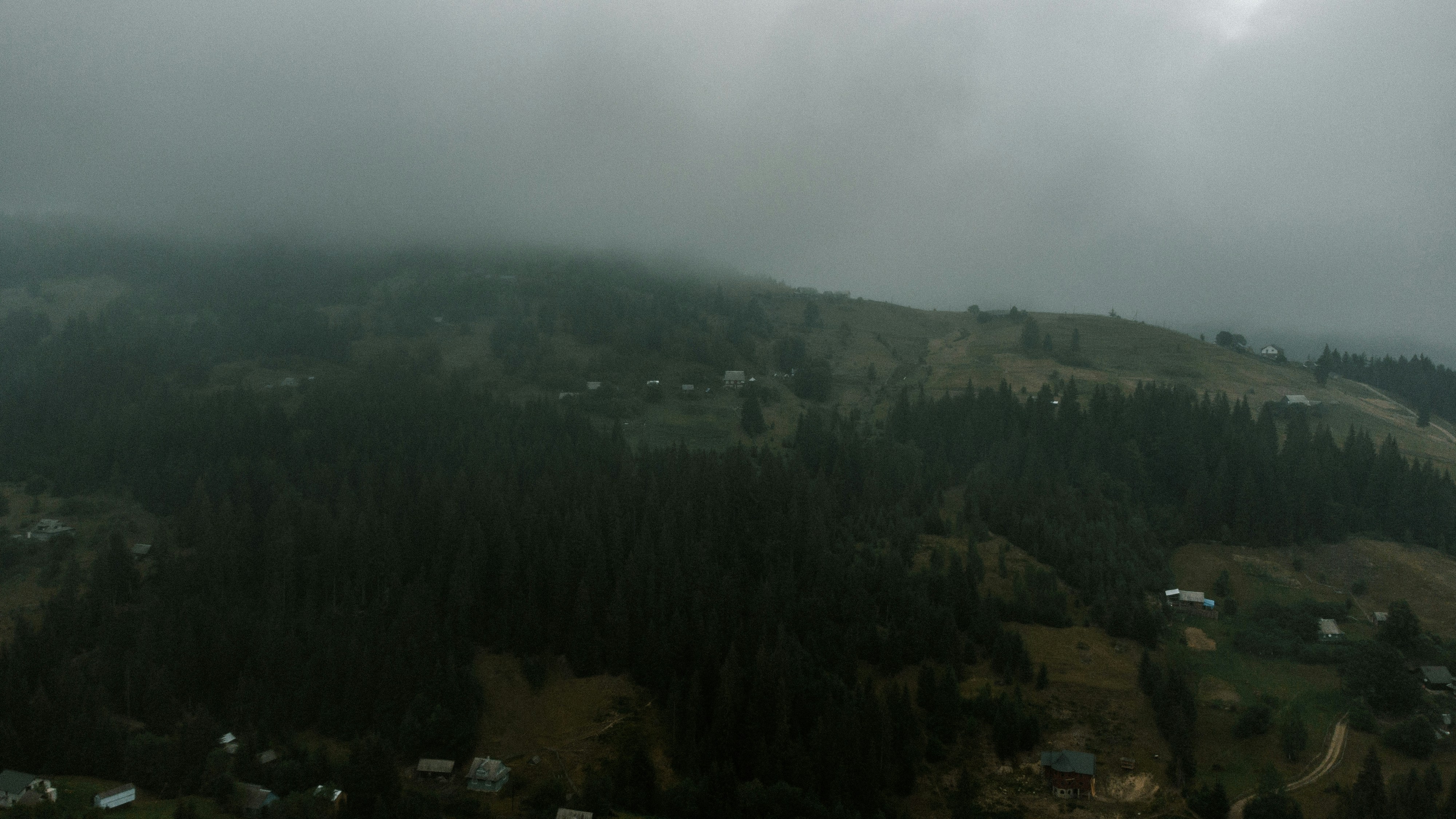 Photo by deni_eliash