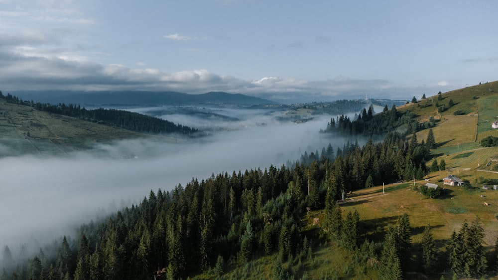 a landscape with trees and hills