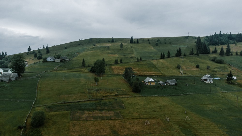 a grassy hill with houses and trees