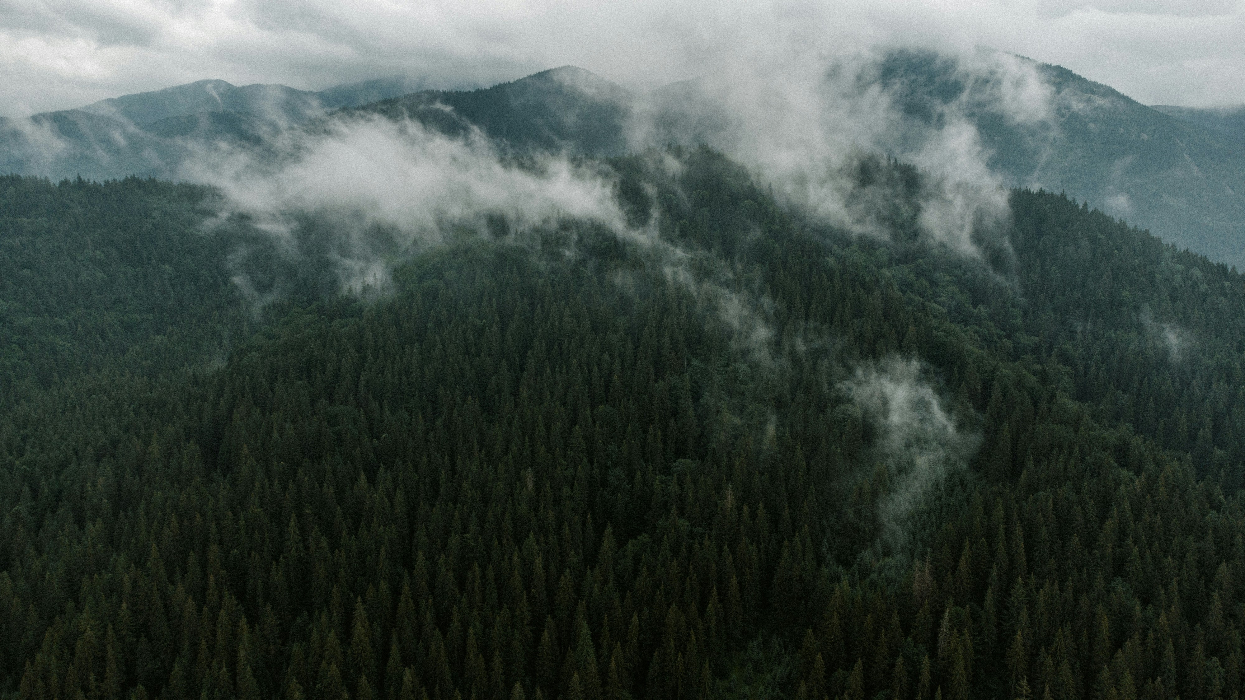 Photo by deni_eliash