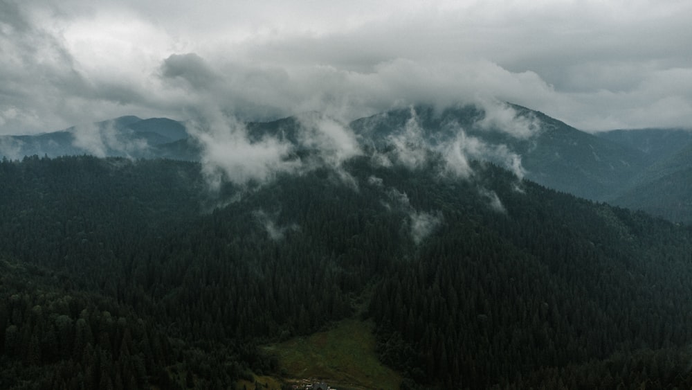 a landscape with trees and clouds