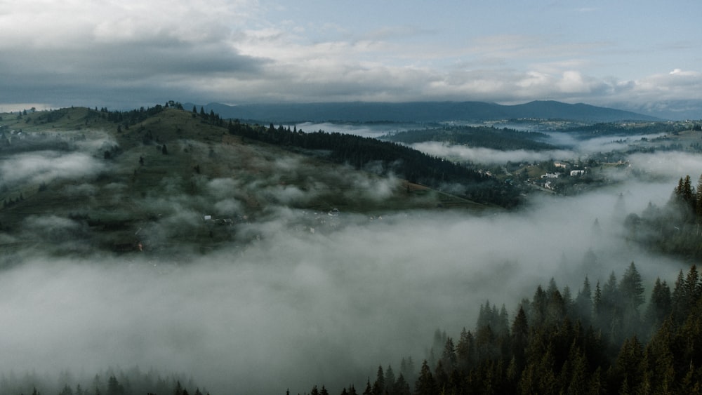 a foggy valley with trees and mountains