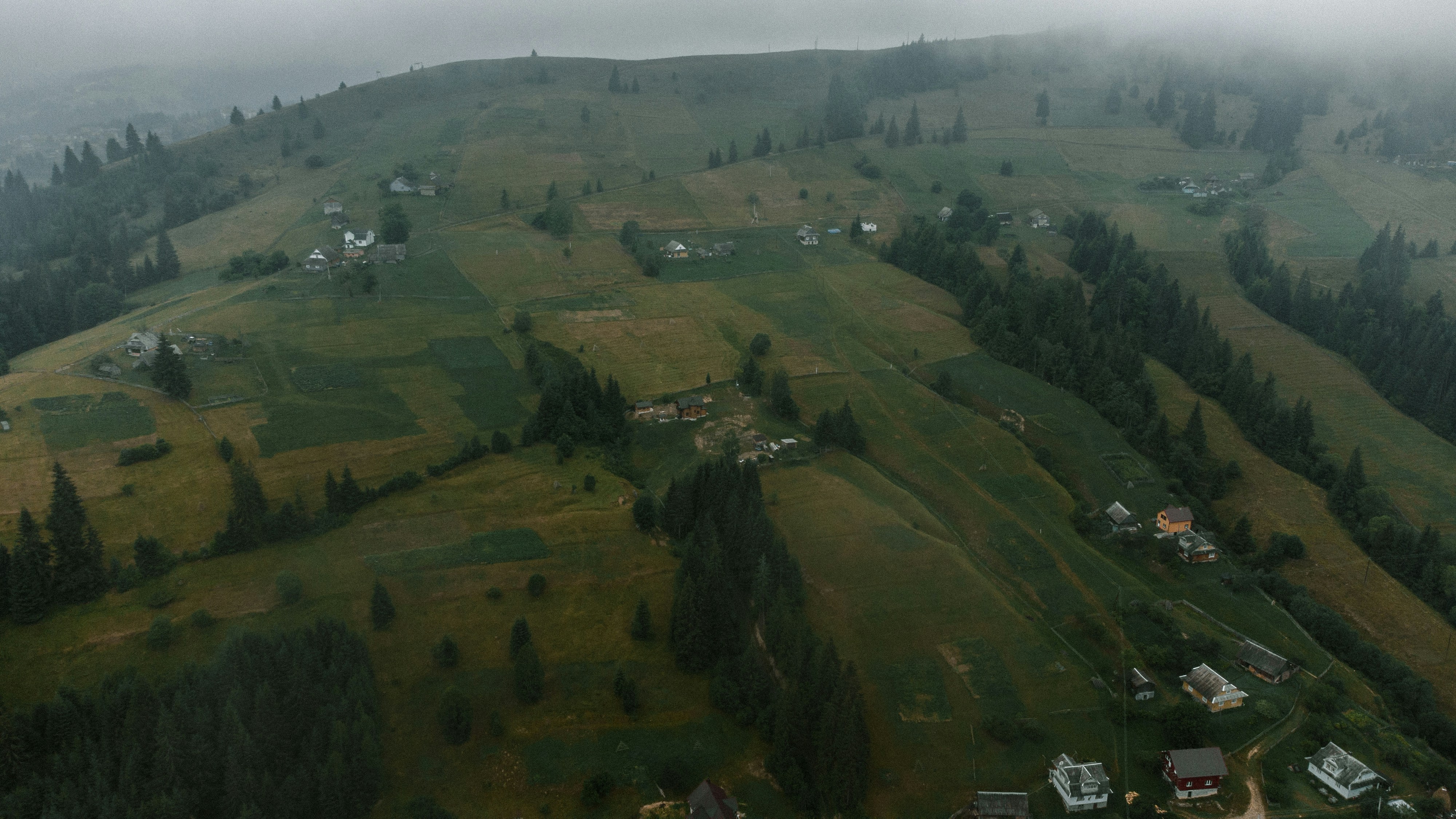 Un paisaje con árboles y casas