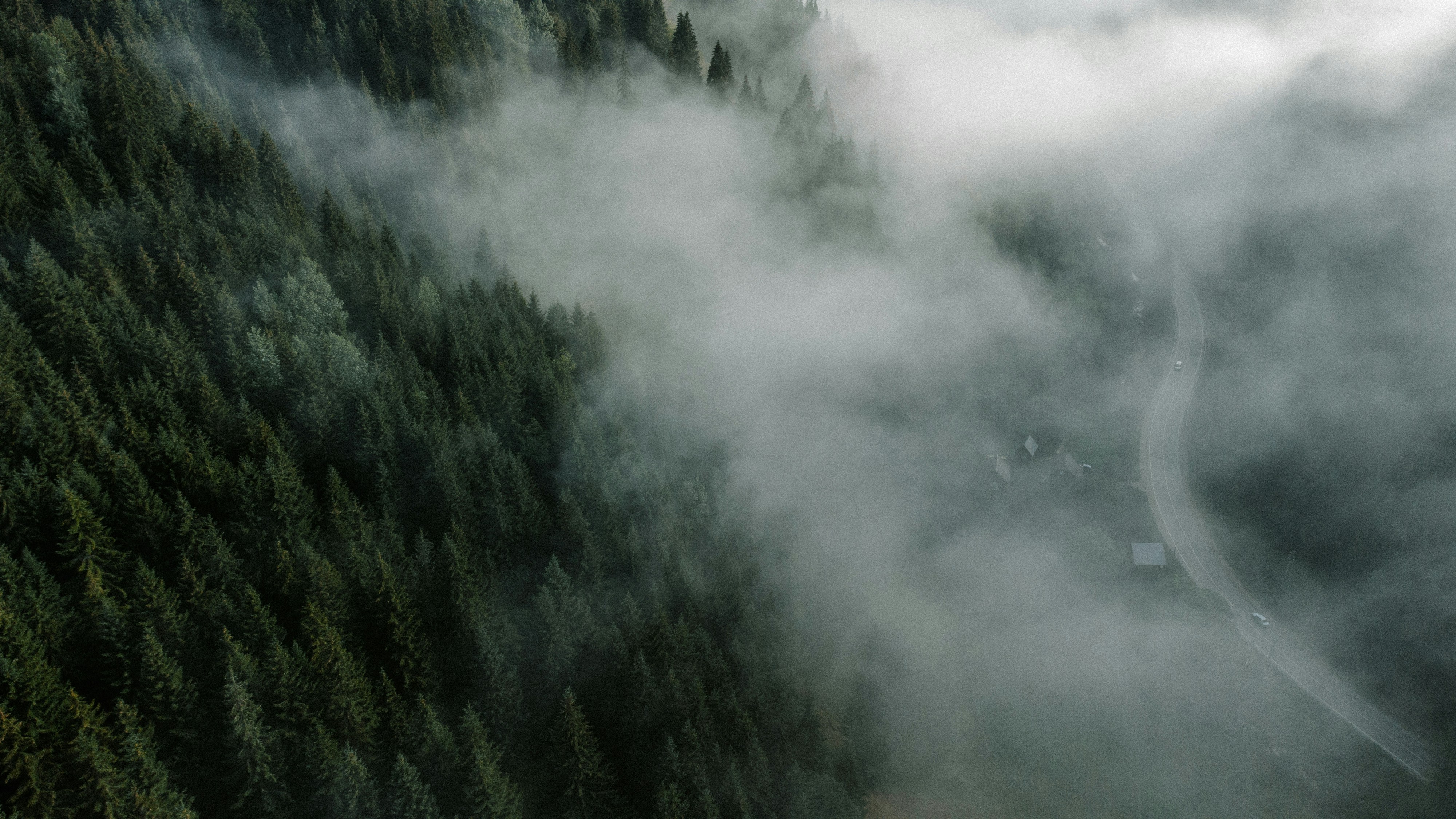 Photo by deni_eliash