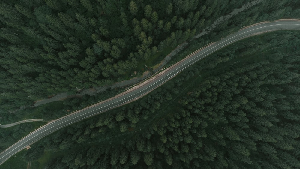 a winding road through a forest