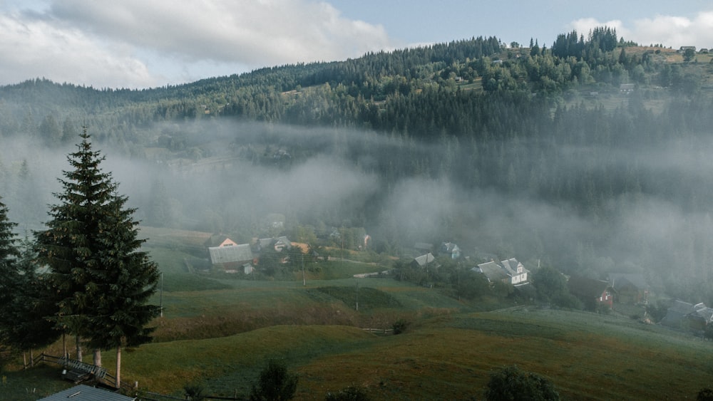 a foggy valley with houses and trees