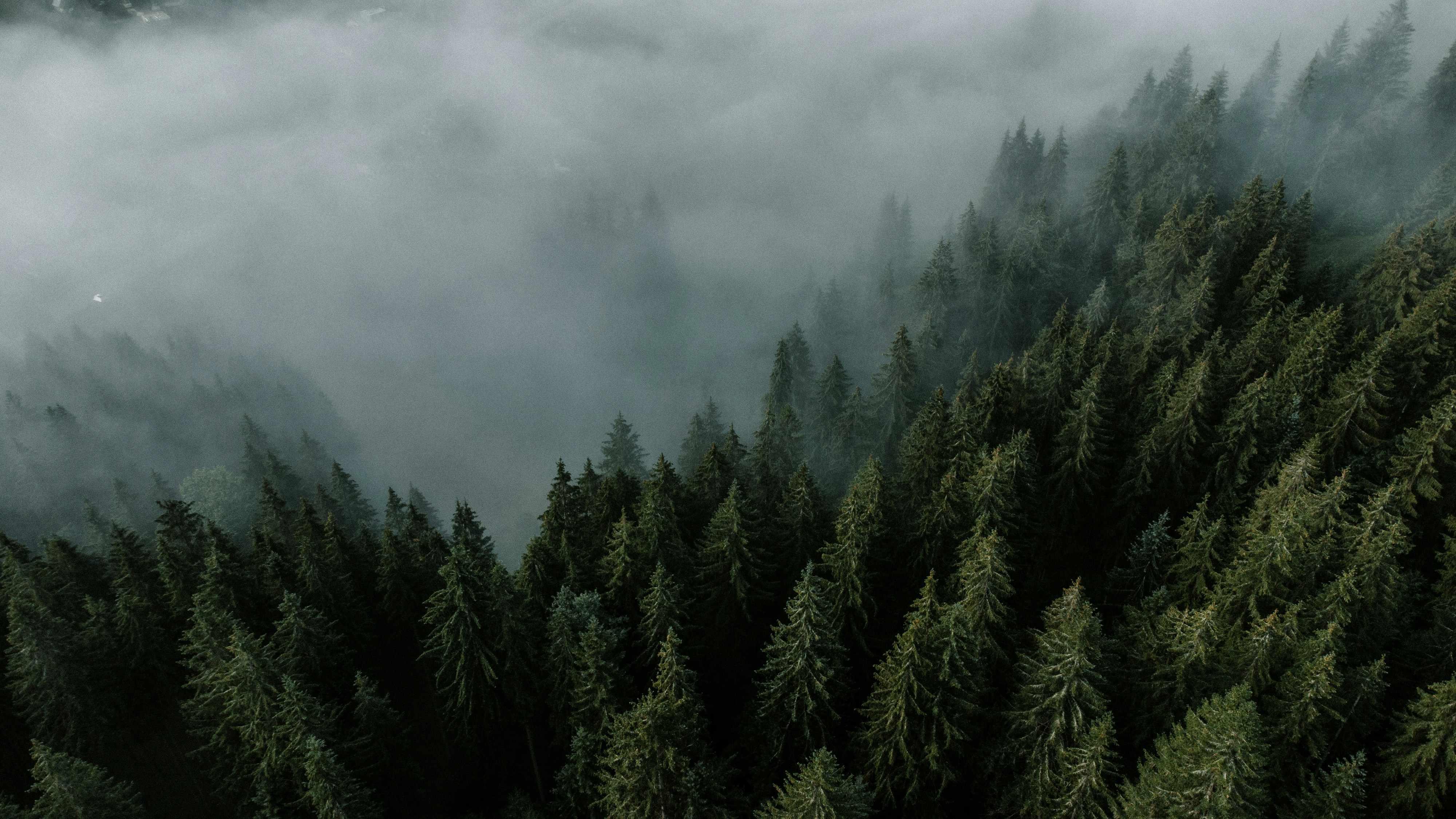 Photo by deni_eliash