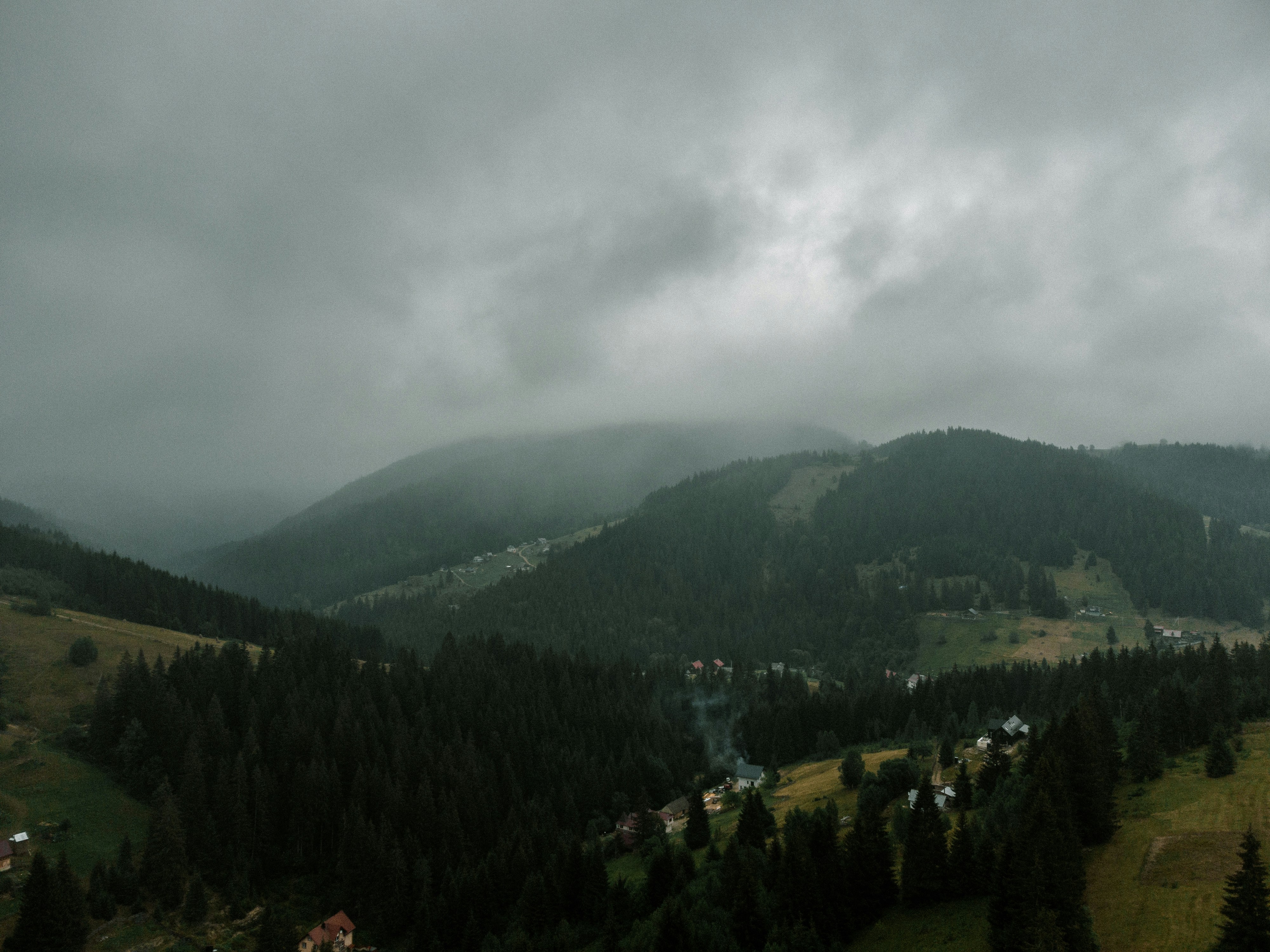 Un paisaje con árboles y montañas