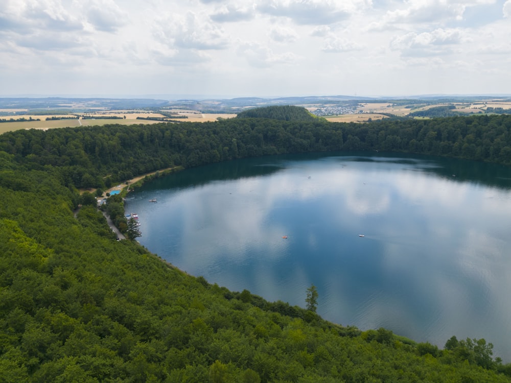 a body of water surrounded by trees