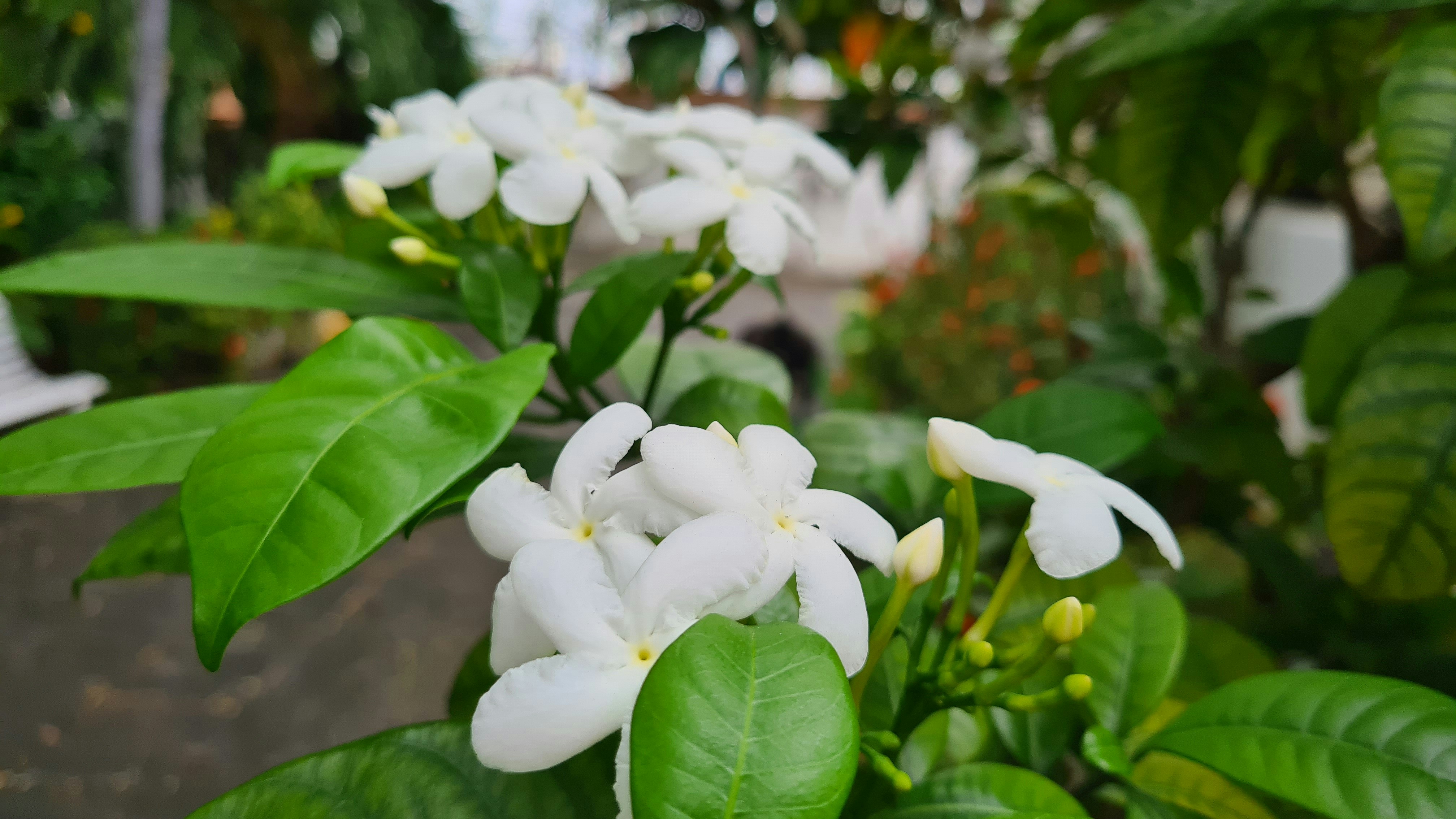 Photo by germano_romero