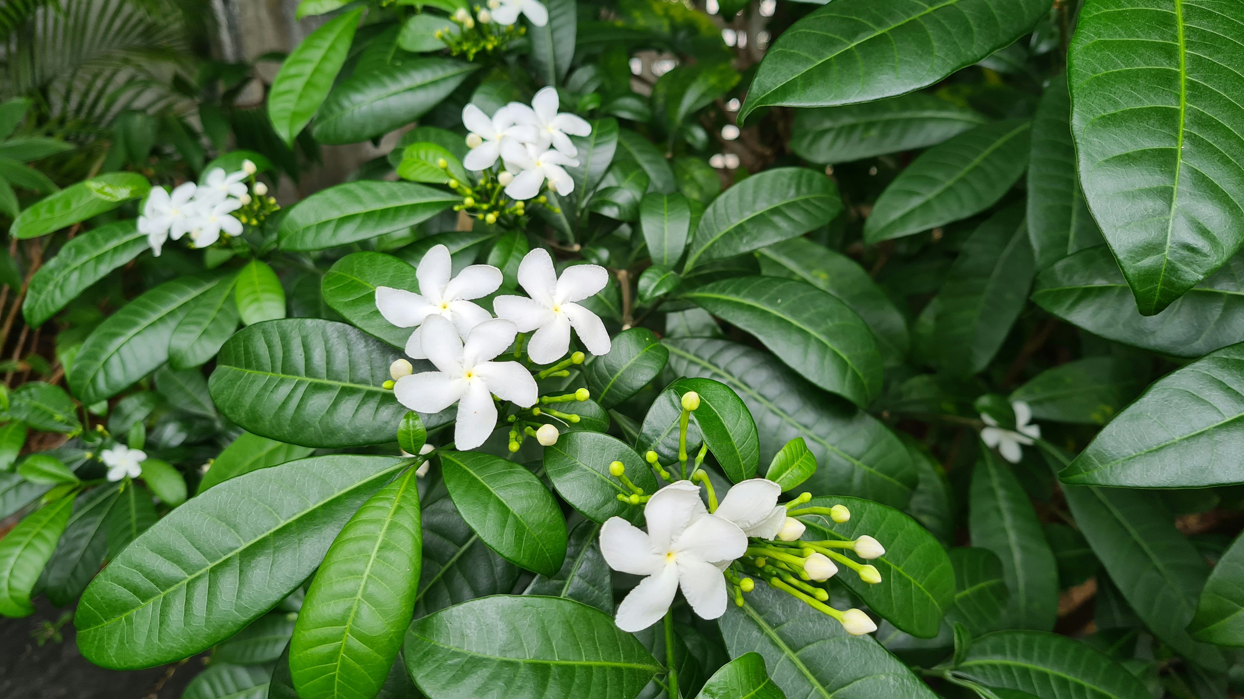 Photo by germano_romero