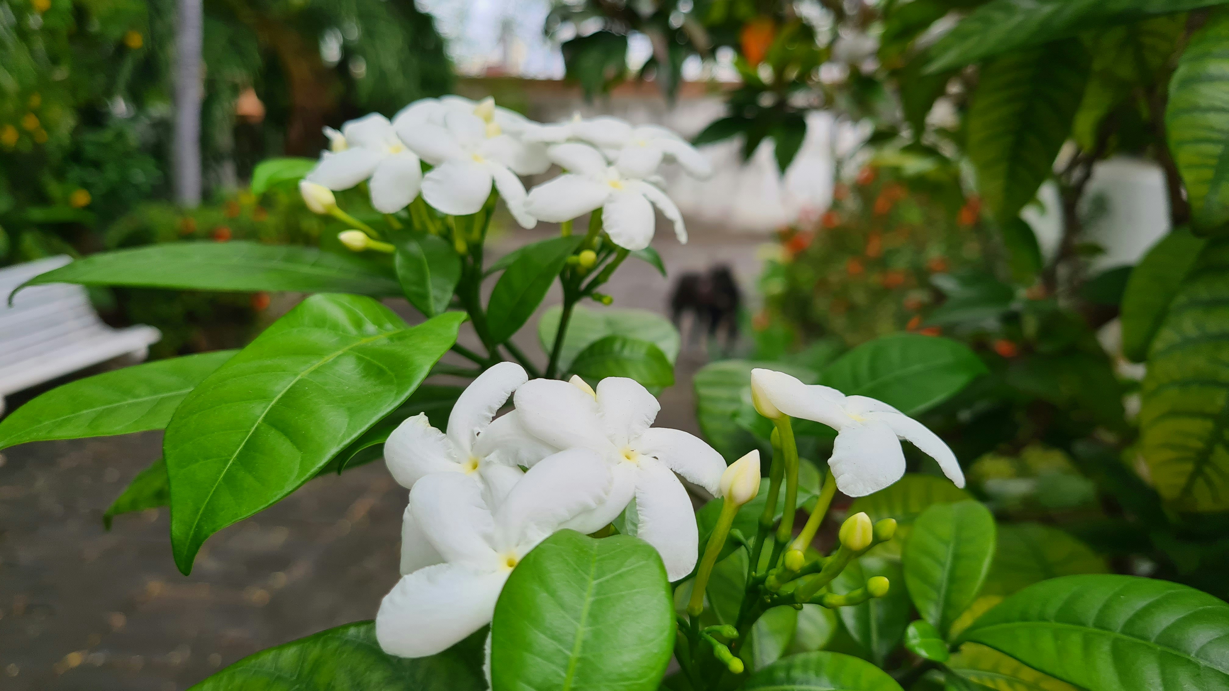 Photo by germano_romero