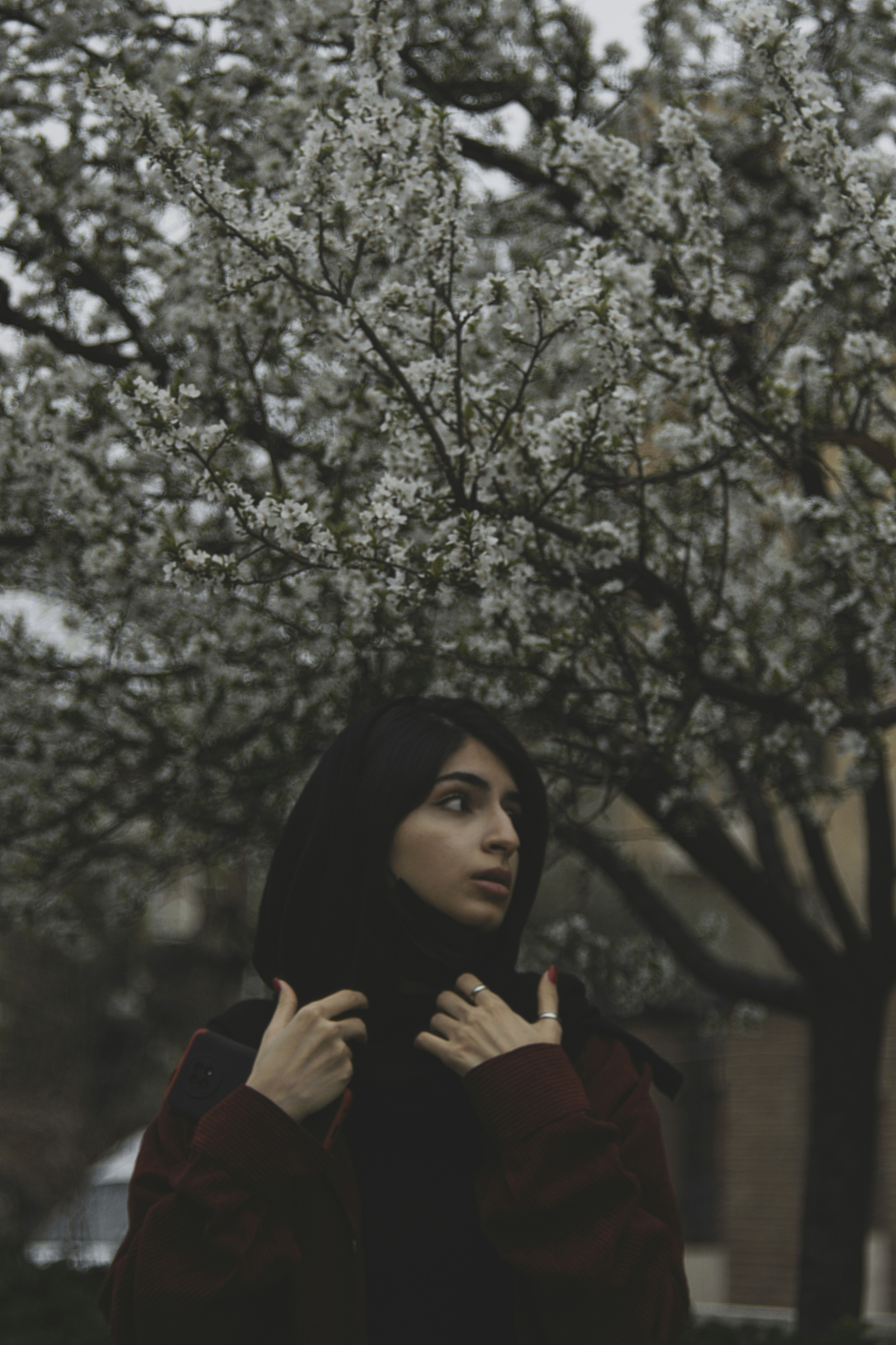 Photo by siyawvash