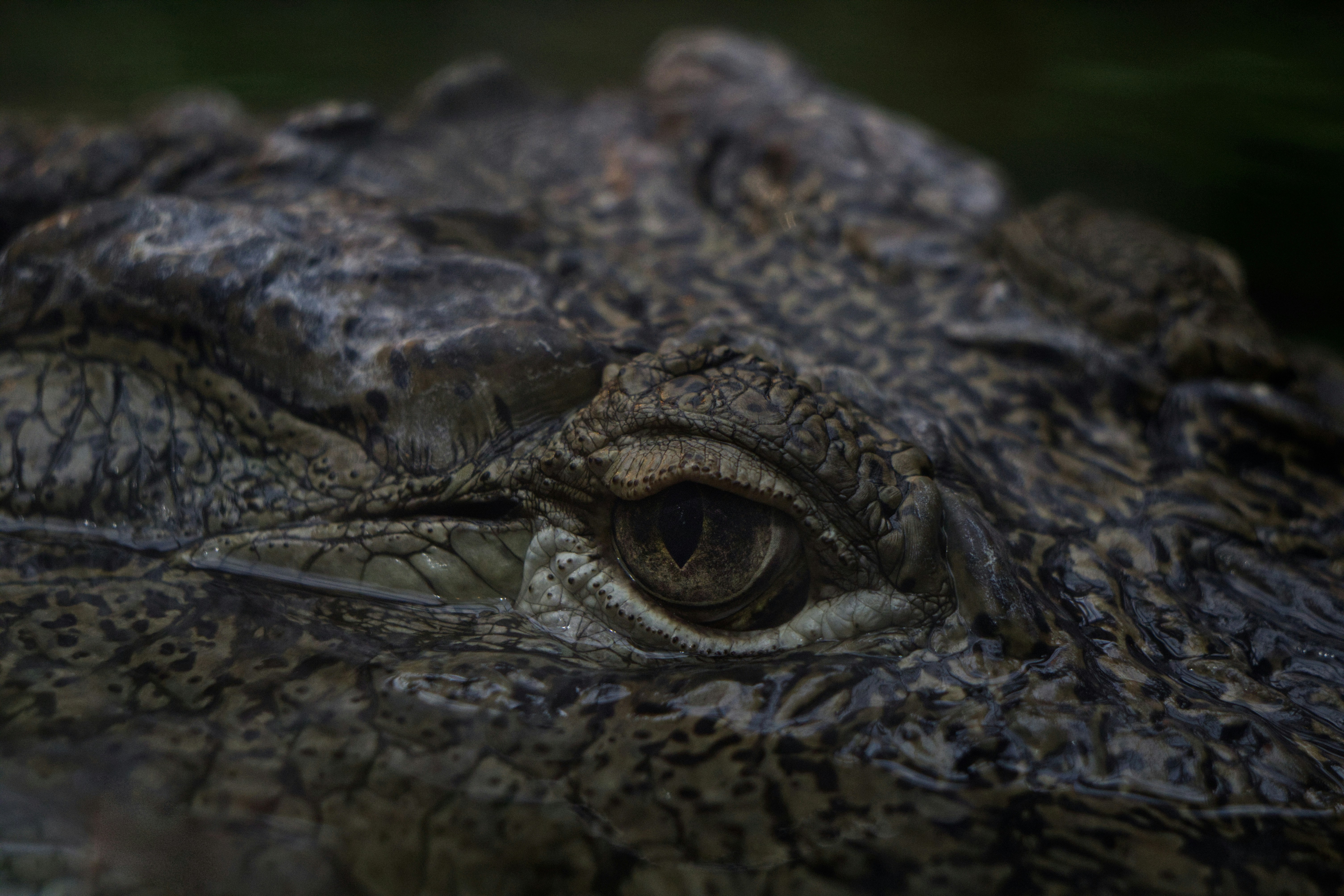 Photo by michalgrabolus